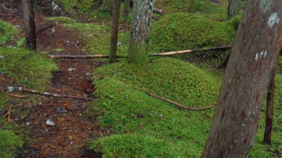 Discover the Outdoors Squamish Chief3