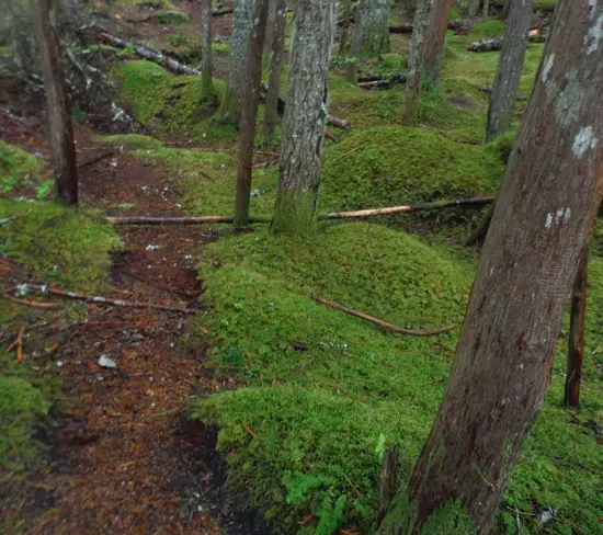 Discover the Outdoors Squamish Chief3