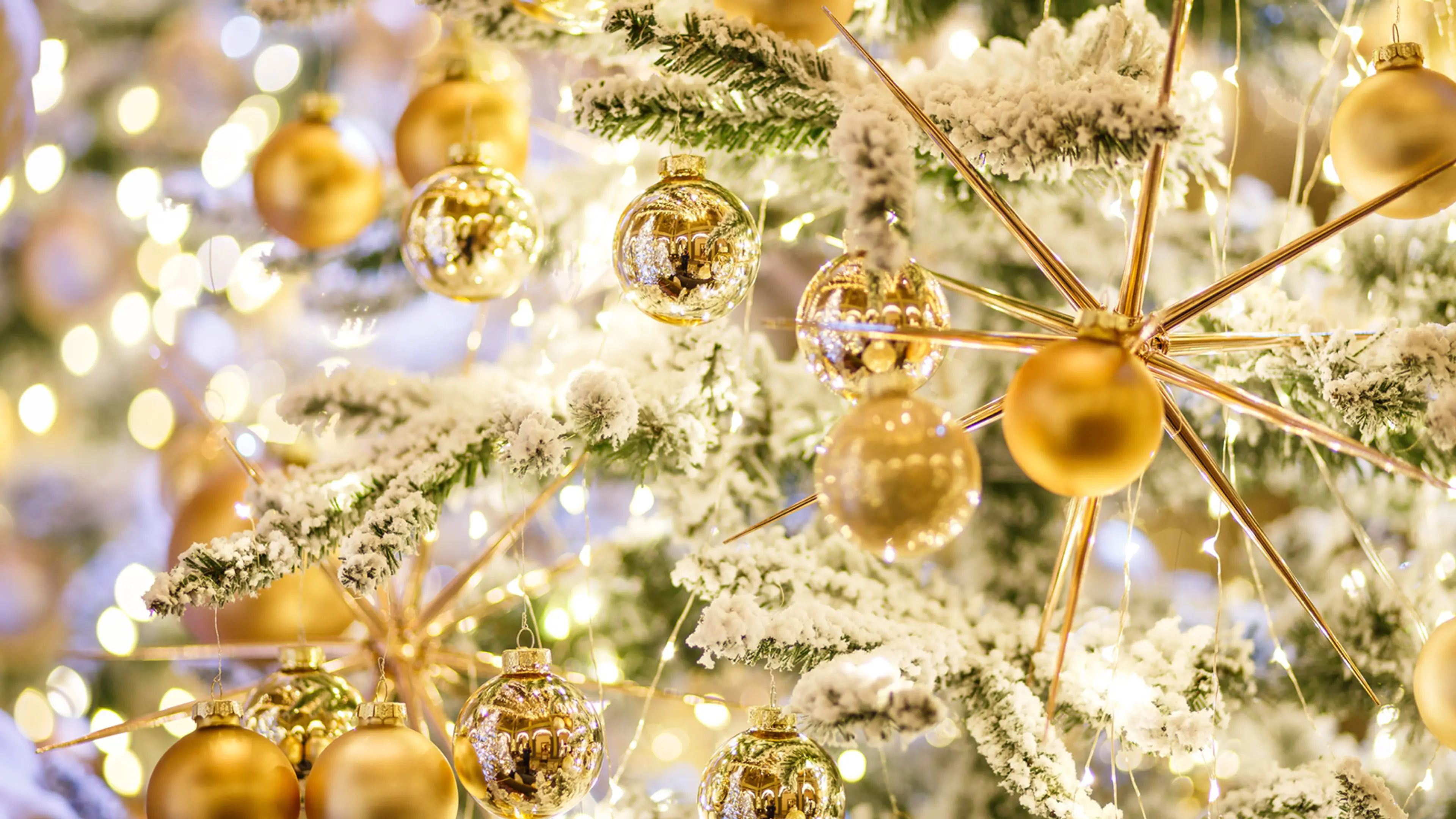 Christmas in Vancouver: The Inside Edition