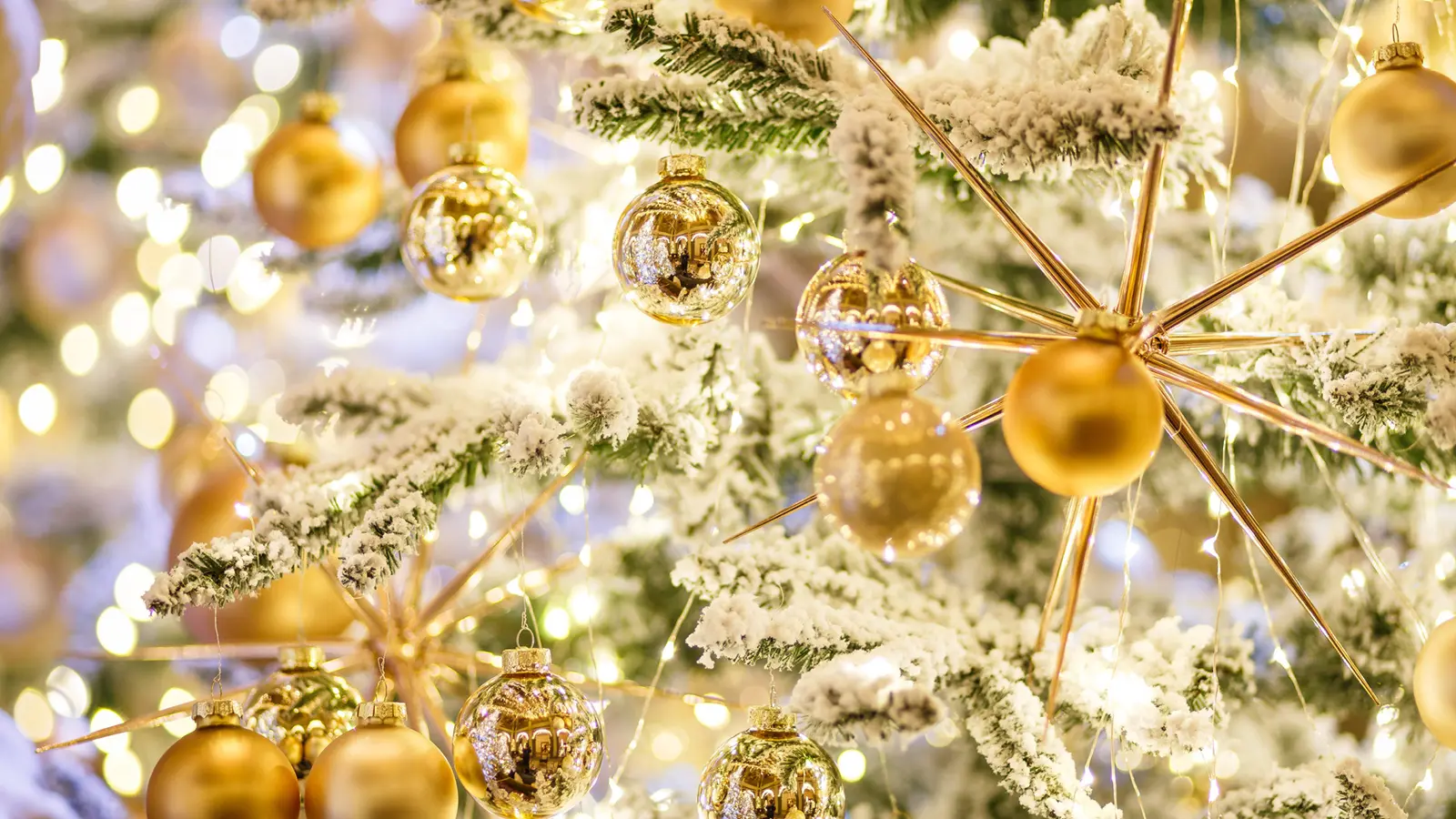 Christmas in Vancouver: The Inside Edition
