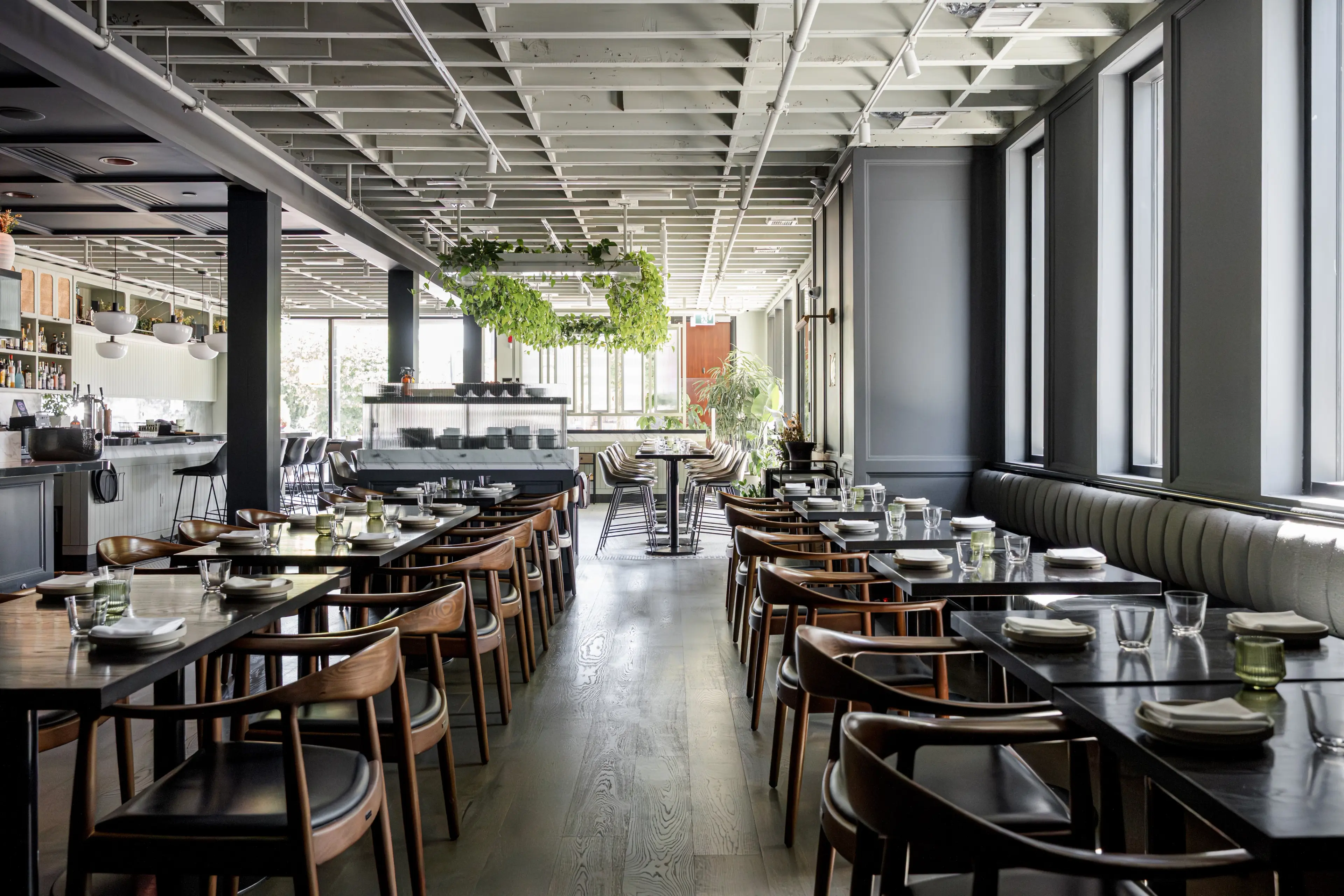 Empty modern restaurant interior with wooden chairs, black tables set with glasses and napkins, and hanging green plants.