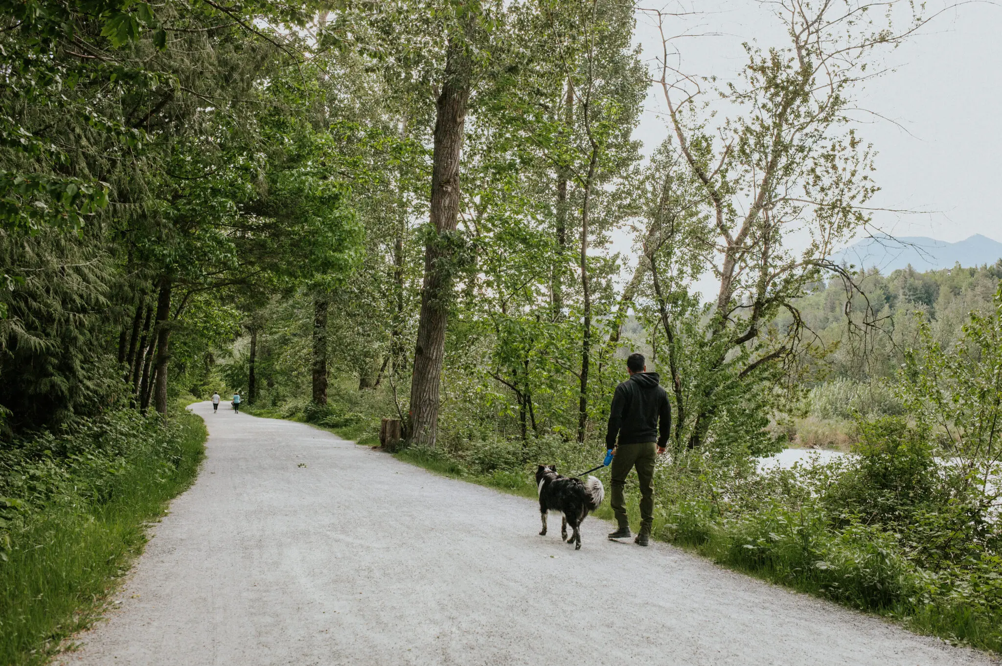 Vedder River Rotary Trail in Chilliwack