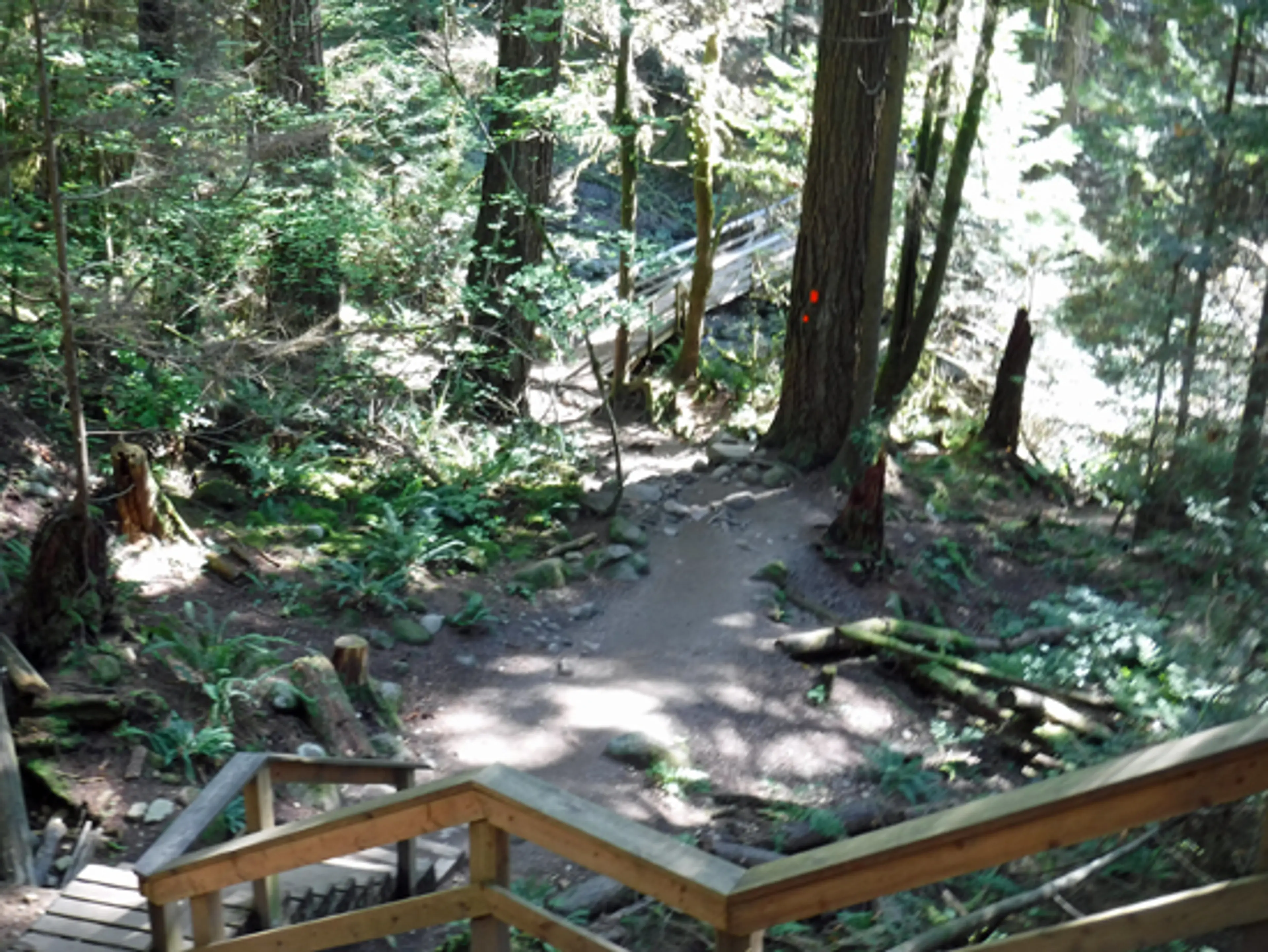 quarry-rock-hike-discover-the-outdoors4