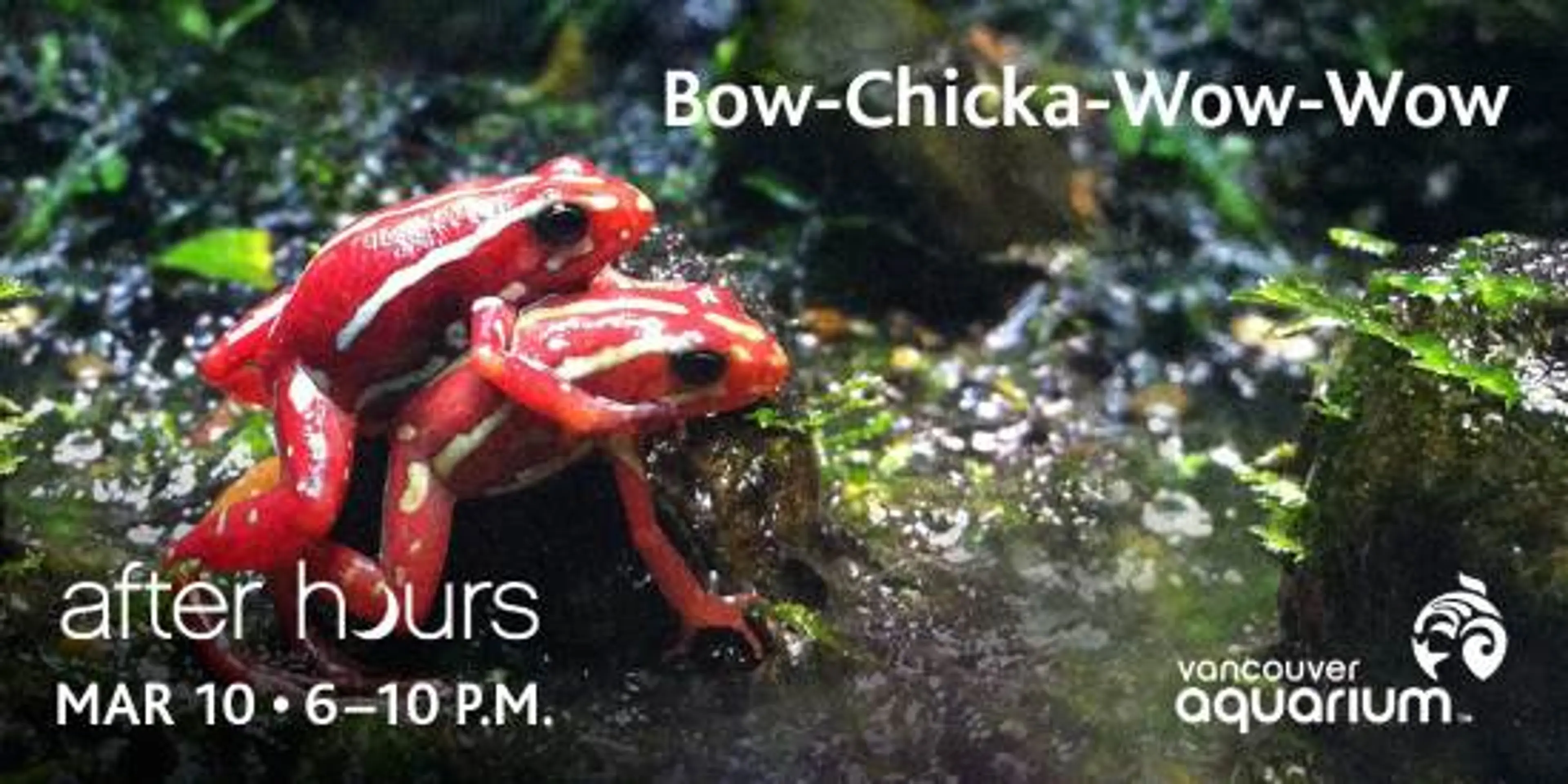 After Hours at the Vancouver Aquarium, March 10