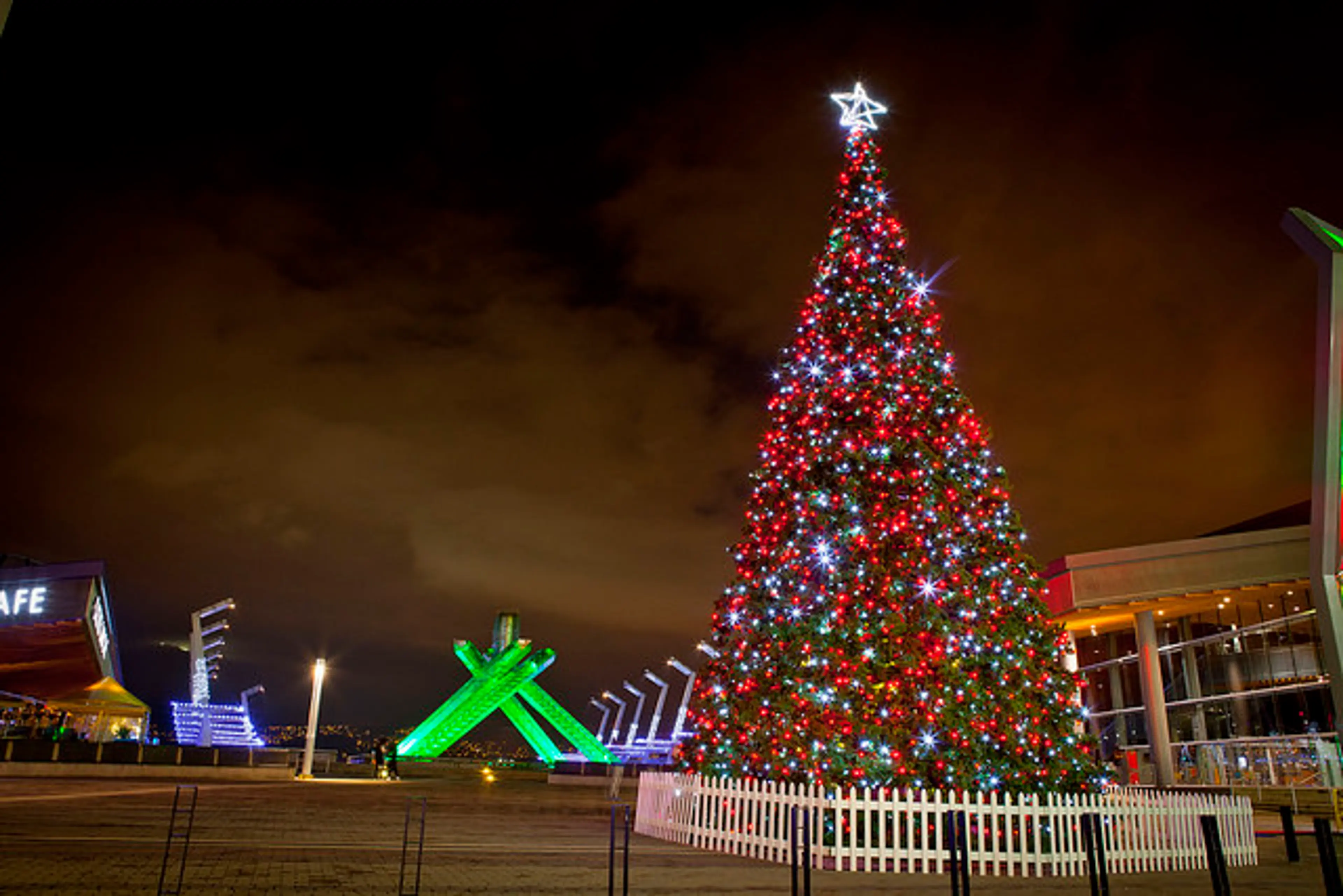 Vancouver Christmas Tree Lighting 2016