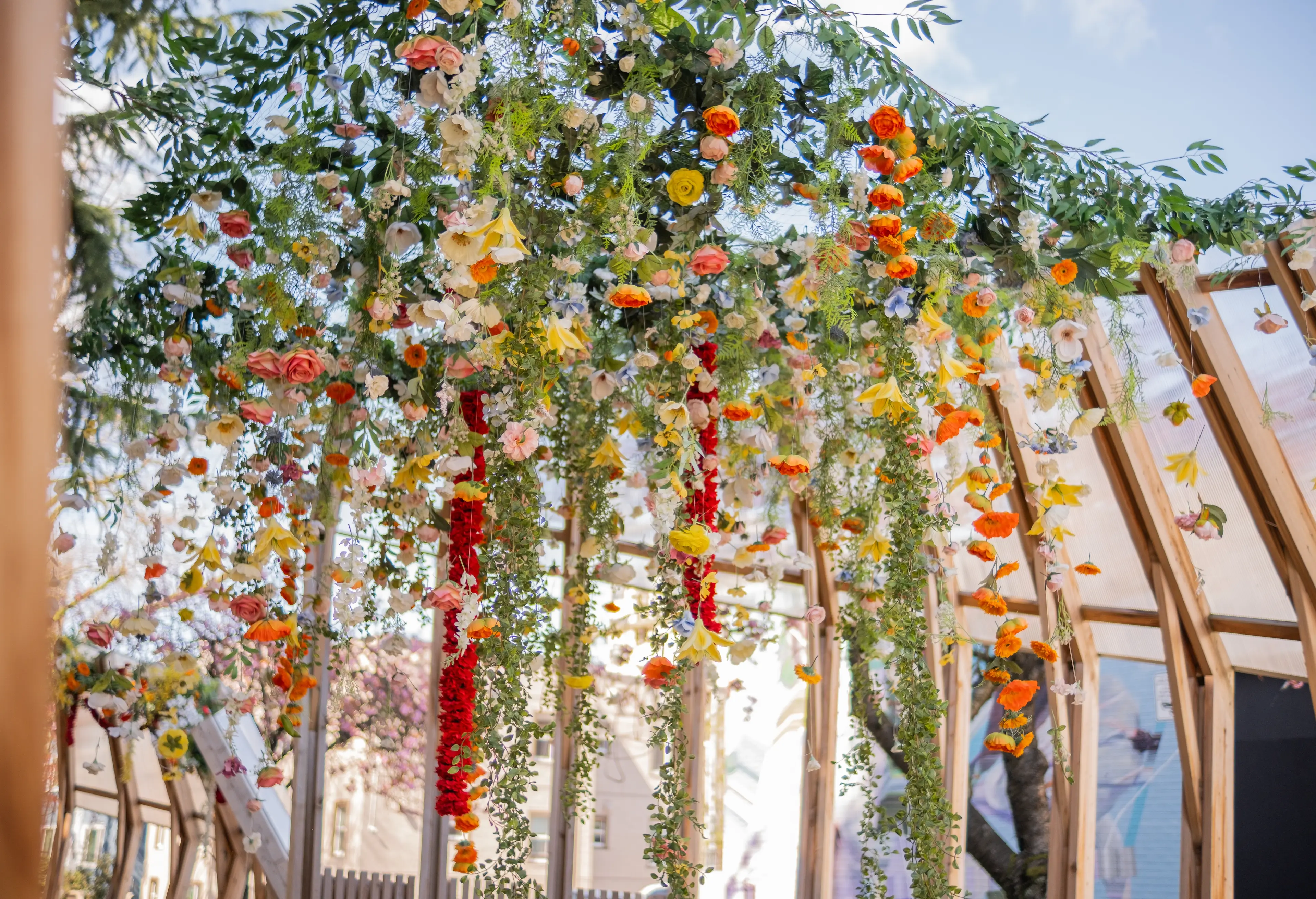 DSCF0067_F87832DE-592C-4C93-992346C50B87A755_5792308e-9455-4ff8-aa64fae097614321