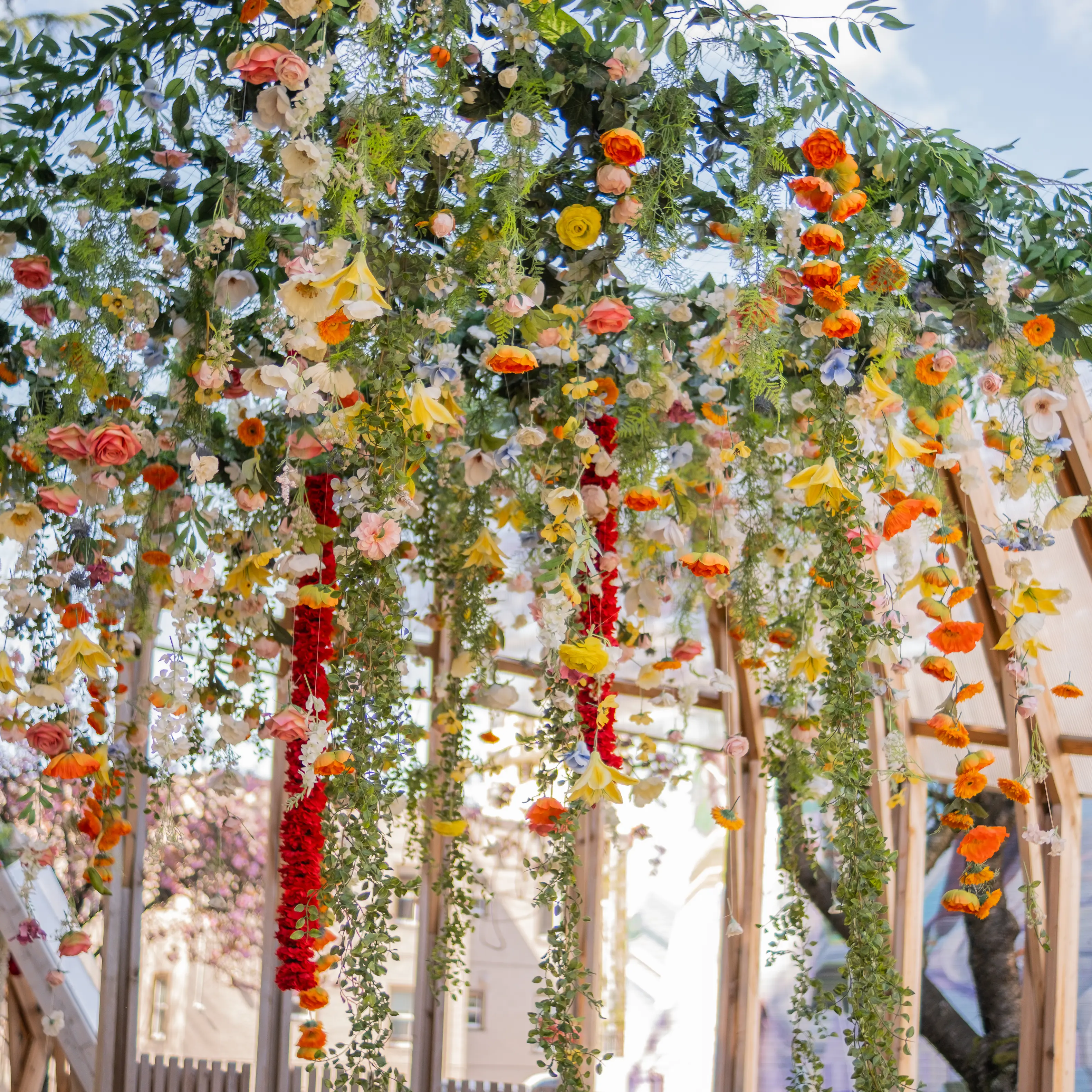 DSCF0067_F87832DE-592C-4C93-992346C50B87A755_5792308e-9455-4ff8-aa64fae097614321