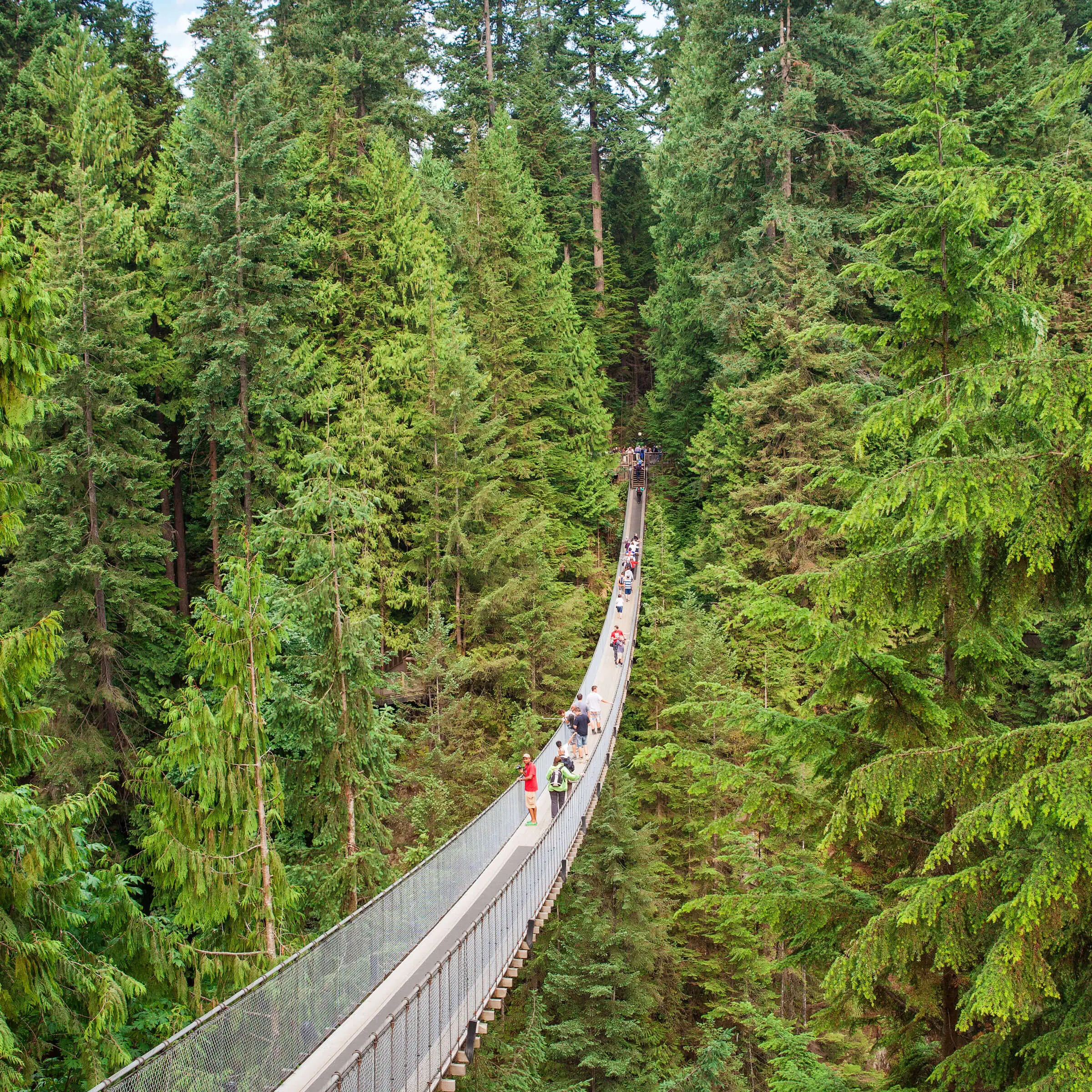 People walk across a long suspension bridge, high above the forest floor and surrounded by dense evergreen trees—a must-see stop on any Vancouver itinerary for nature lovers.