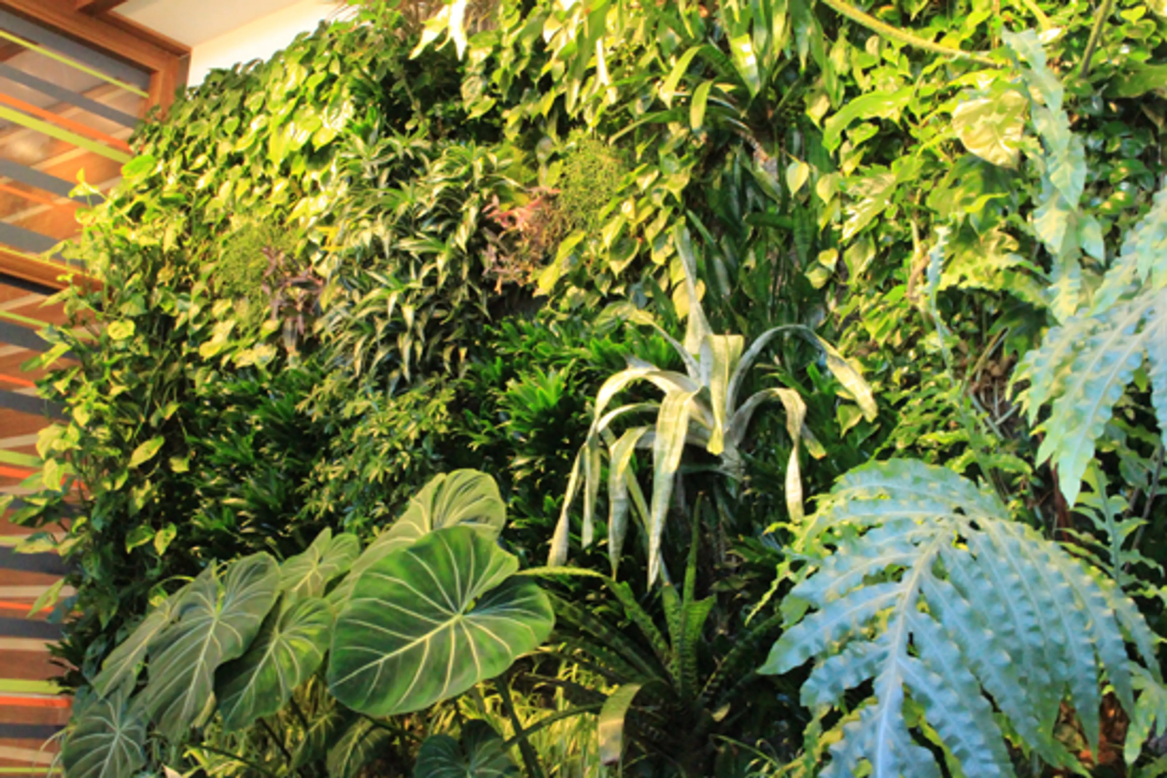 Discover Outdoors Living Walls Tourism Vancouver - Totems
