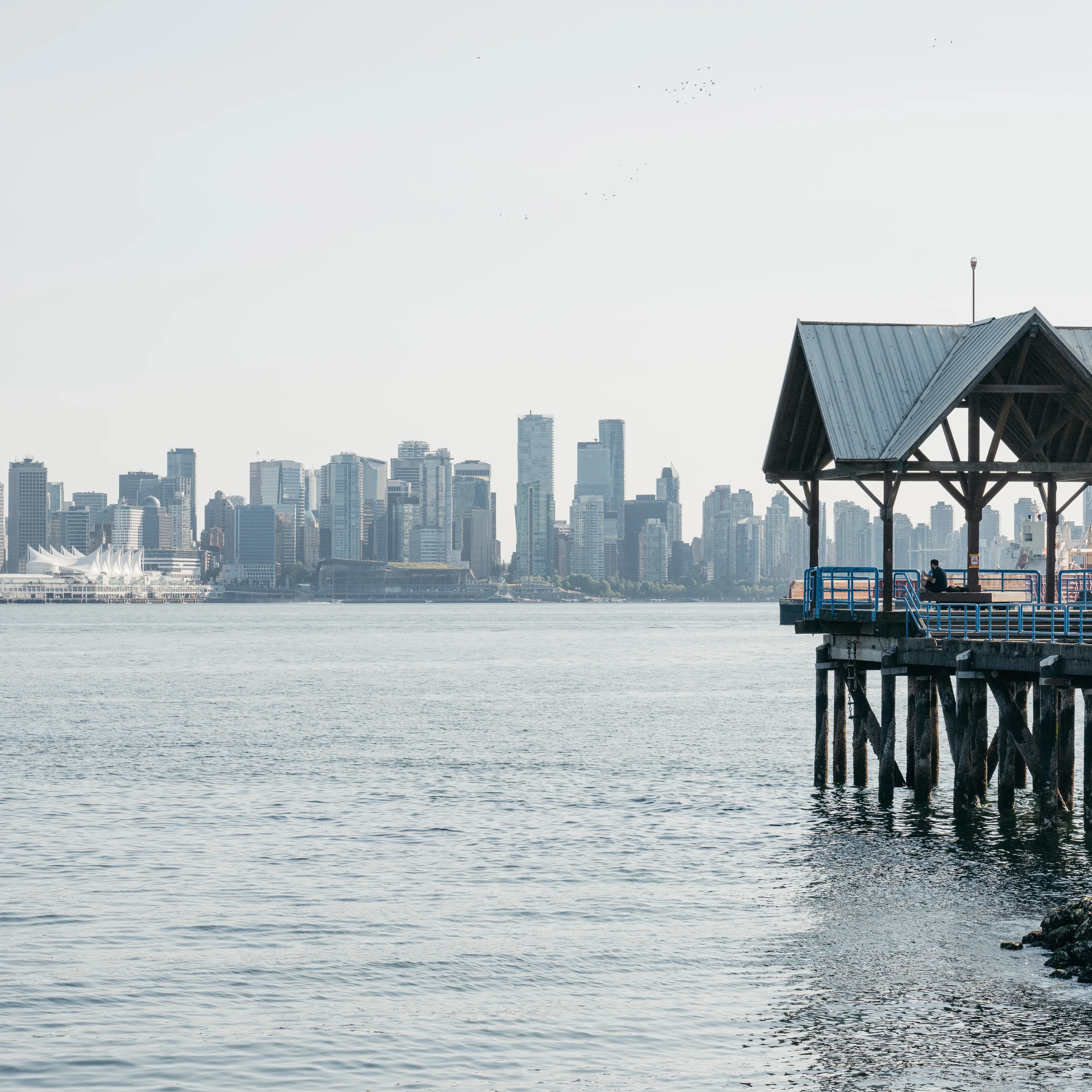 Waterfront Park Dock