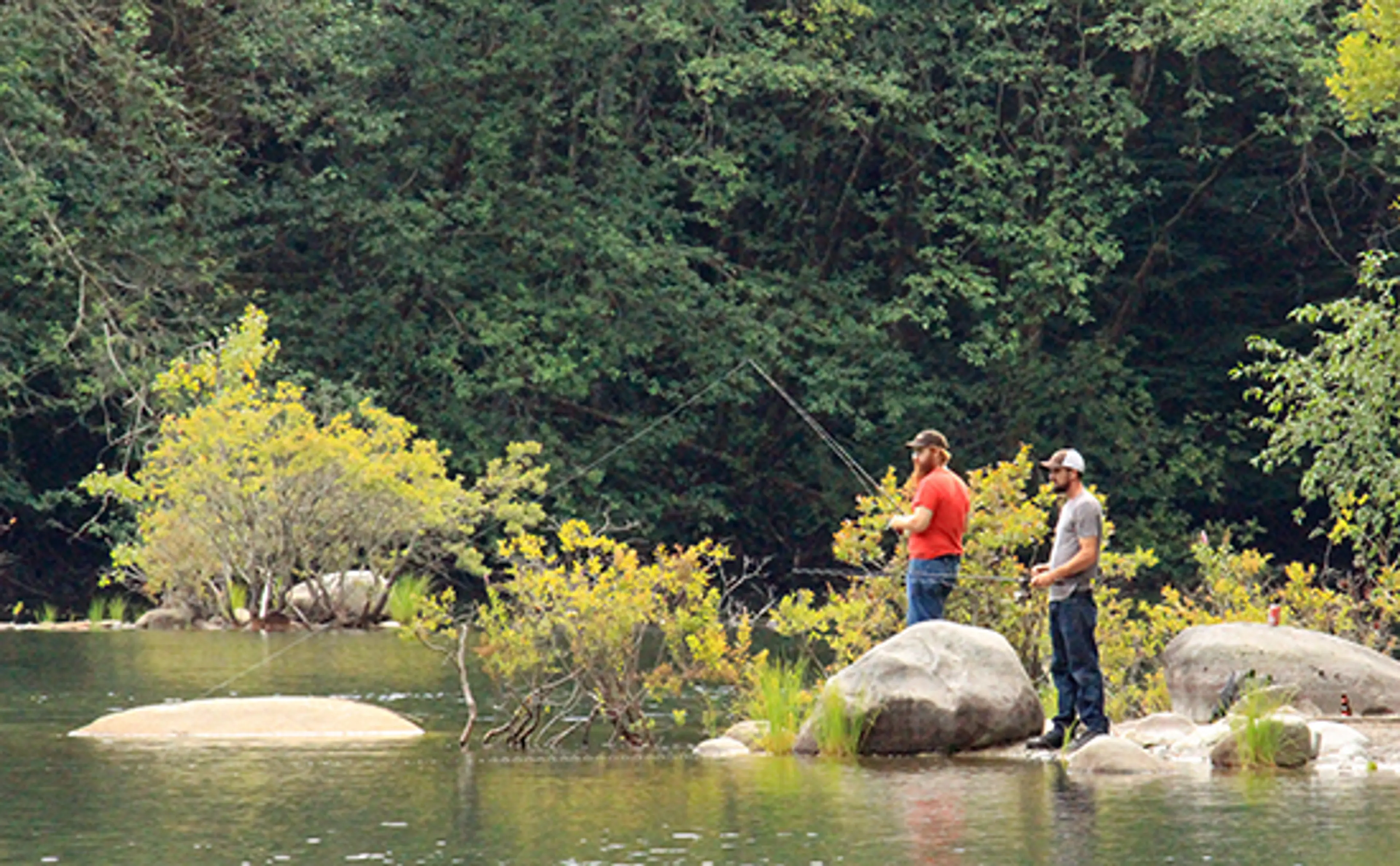 Discover Outdoors Seymour Demonstration Forest