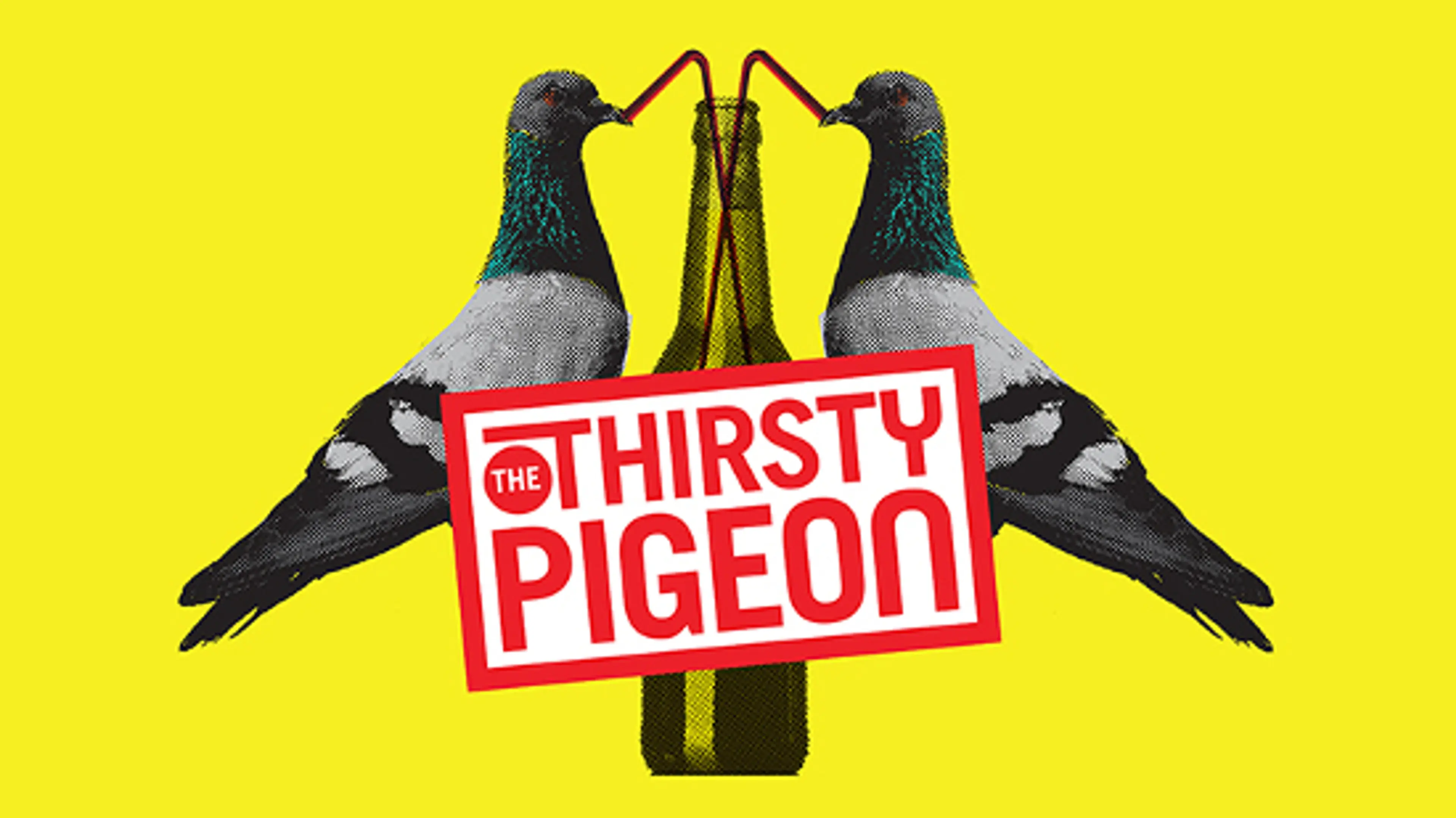 thirsty-pigeon