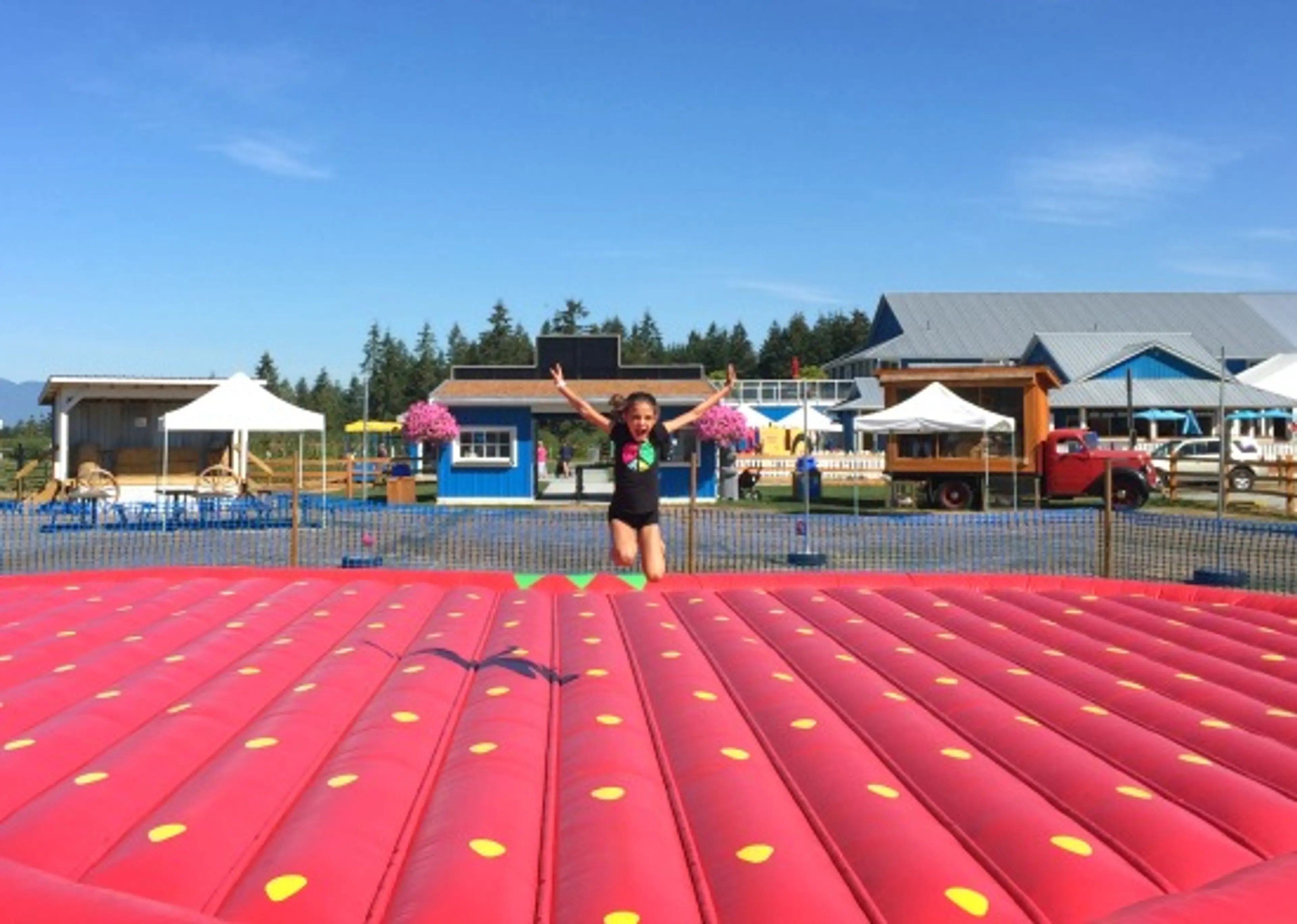 Strawberry Jumping Pad | Photo: Bianca Bujan