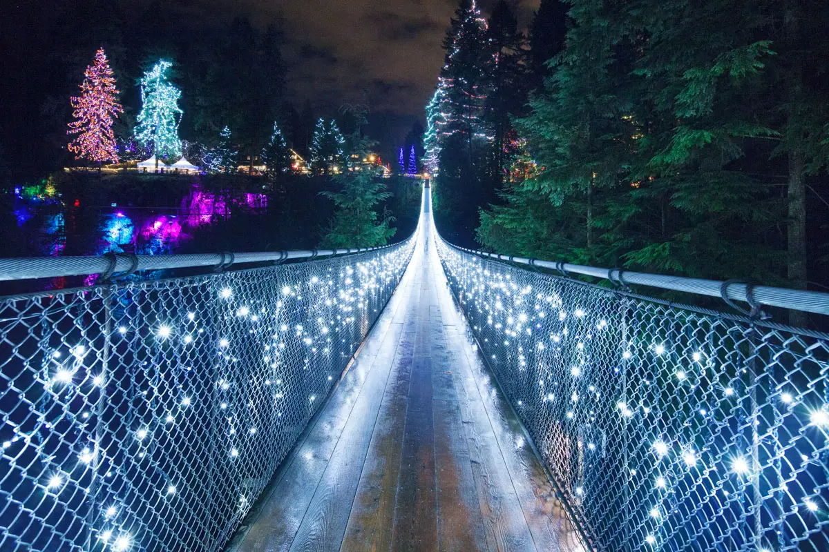 canyon lights capilano suspension bridge