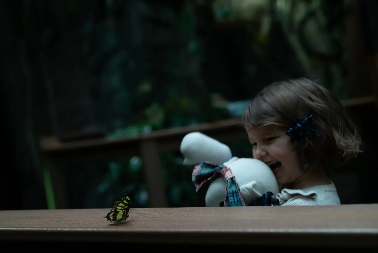 Butterflies: Experience the Transformation at the Vancouver Aquarium