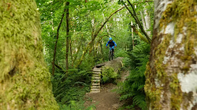 Mountain biking at Pinecone Burke Provincial Park in Coquitlam