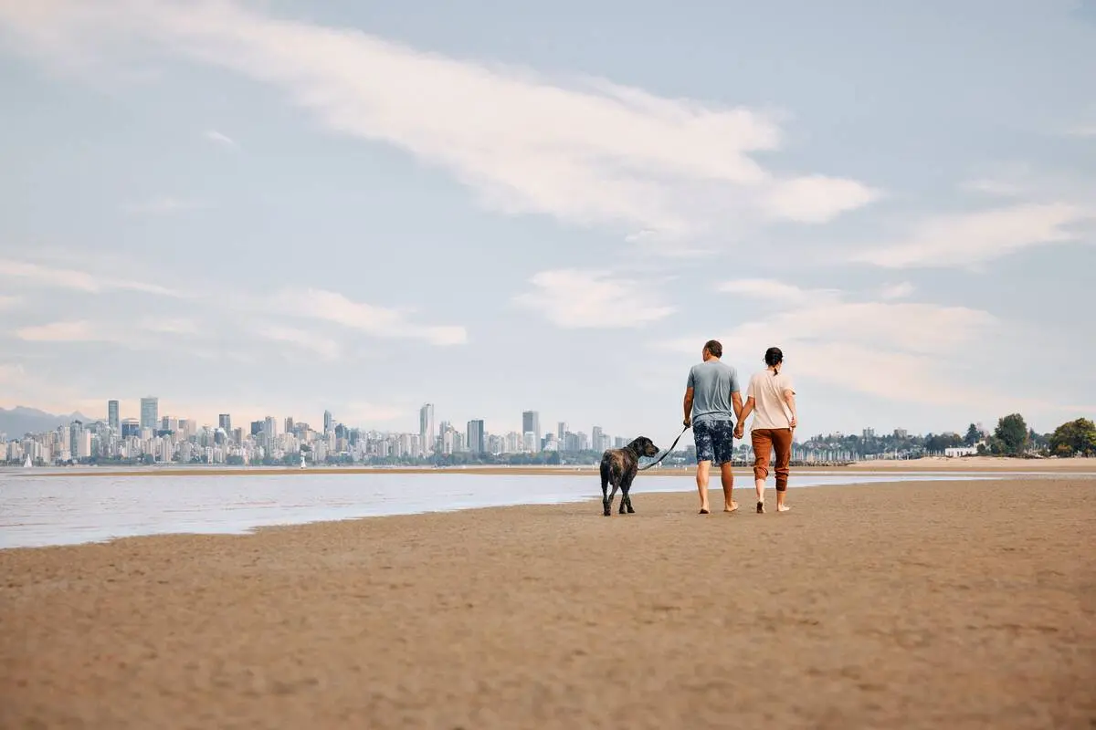 Two people walk a dog along a beach in Vancouver with the city skyline in the background.