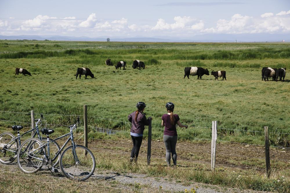 10 Car-Free Places to Bike Around Vancouver