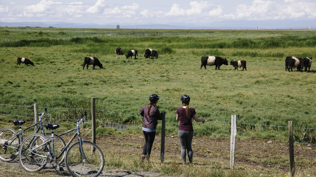 10 Car-Free Places to Bike Around Vancouver