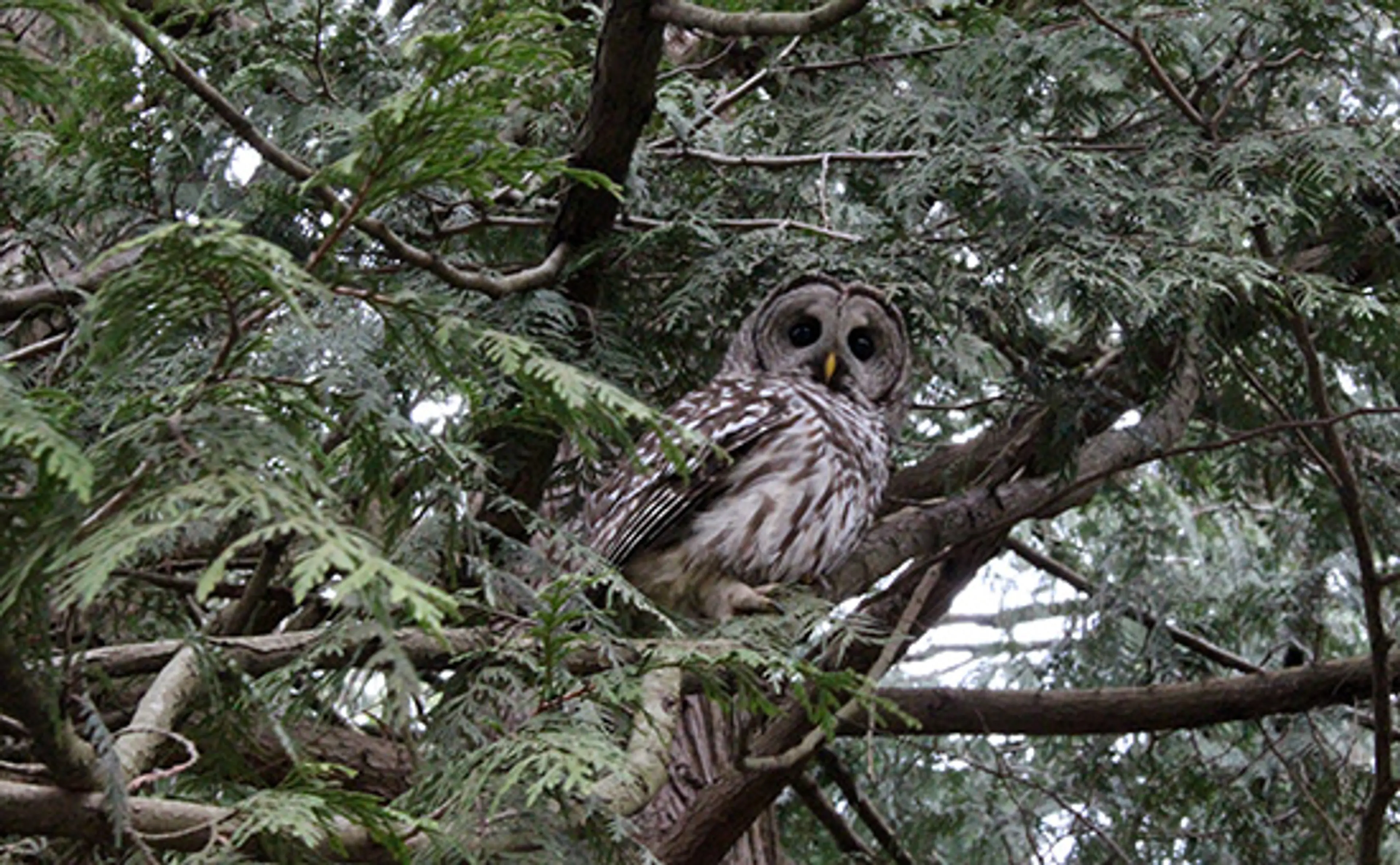 Discover-Outdoors-Spring5