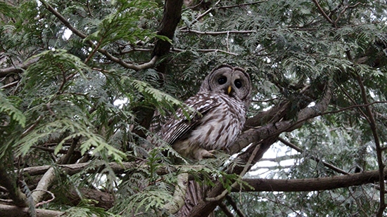 Discover-Outdoors-Spring5