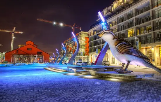 Big Bird | Photo: Dave Brookfield (Flickr)