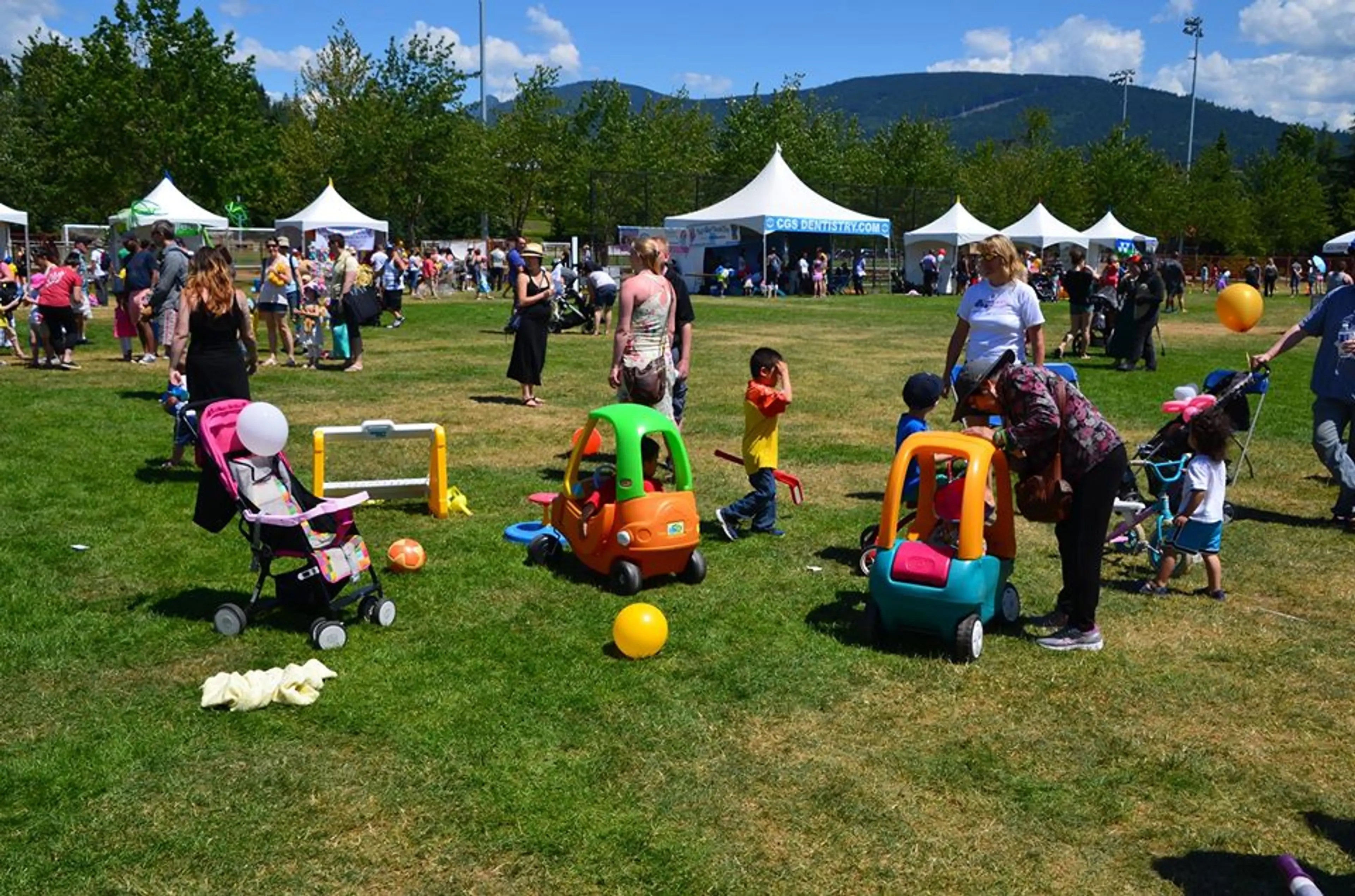 Teddy Bear Picnic