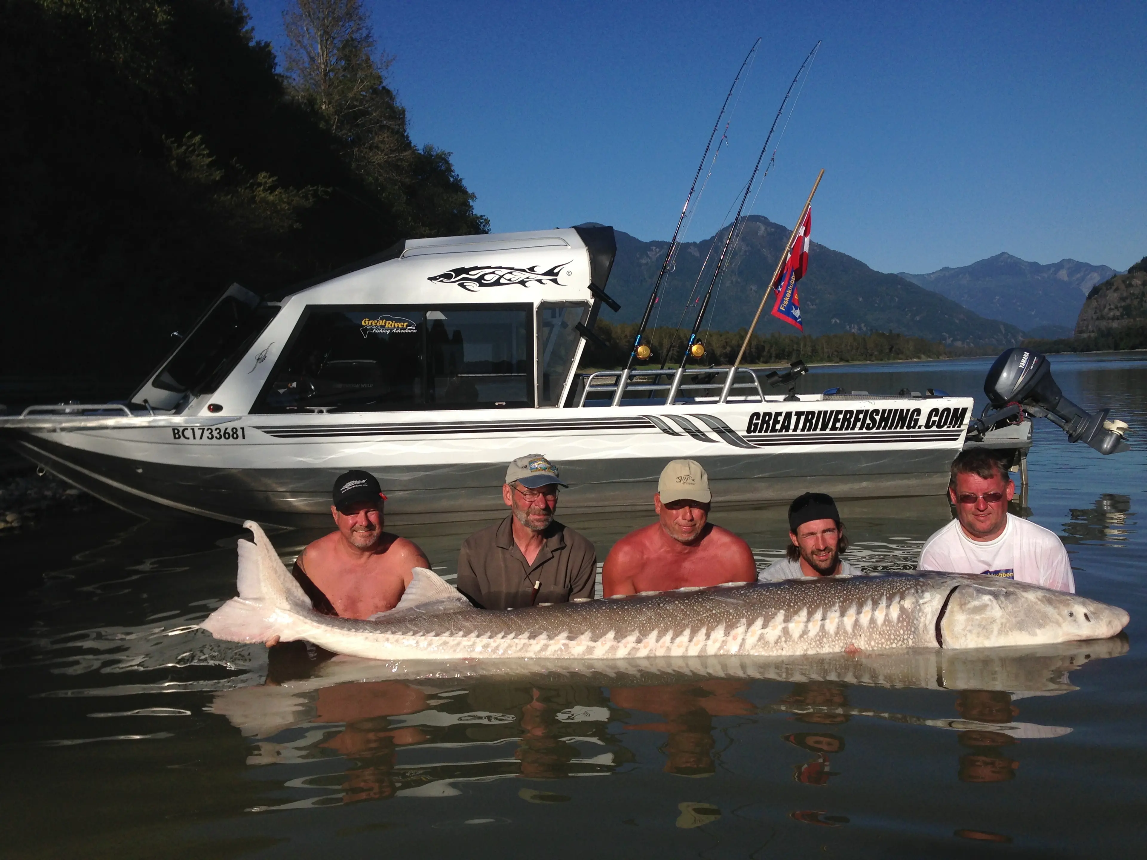 GIANT Sturgeon