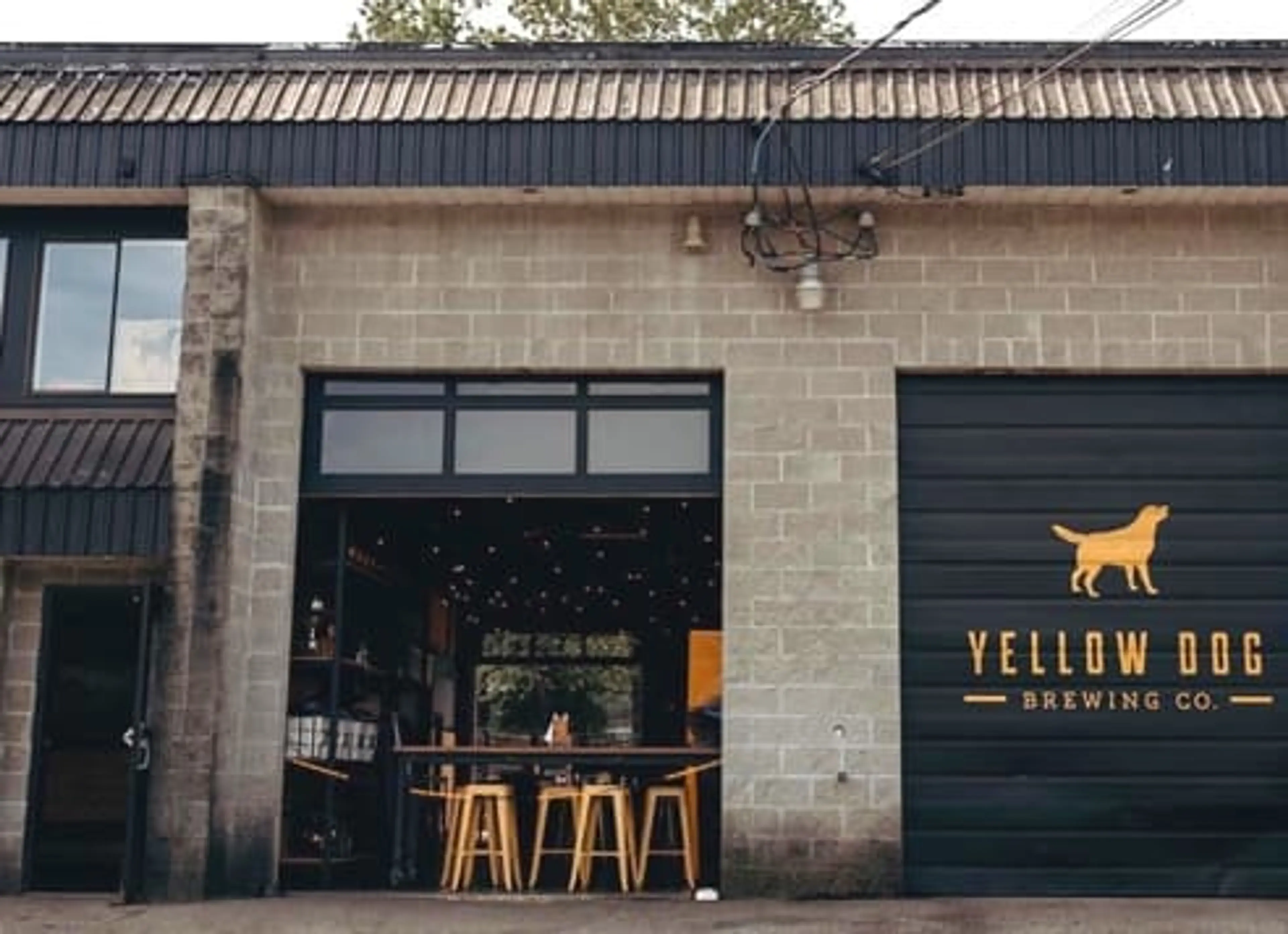 Yellow Dog Brewing Co. in Port Moody