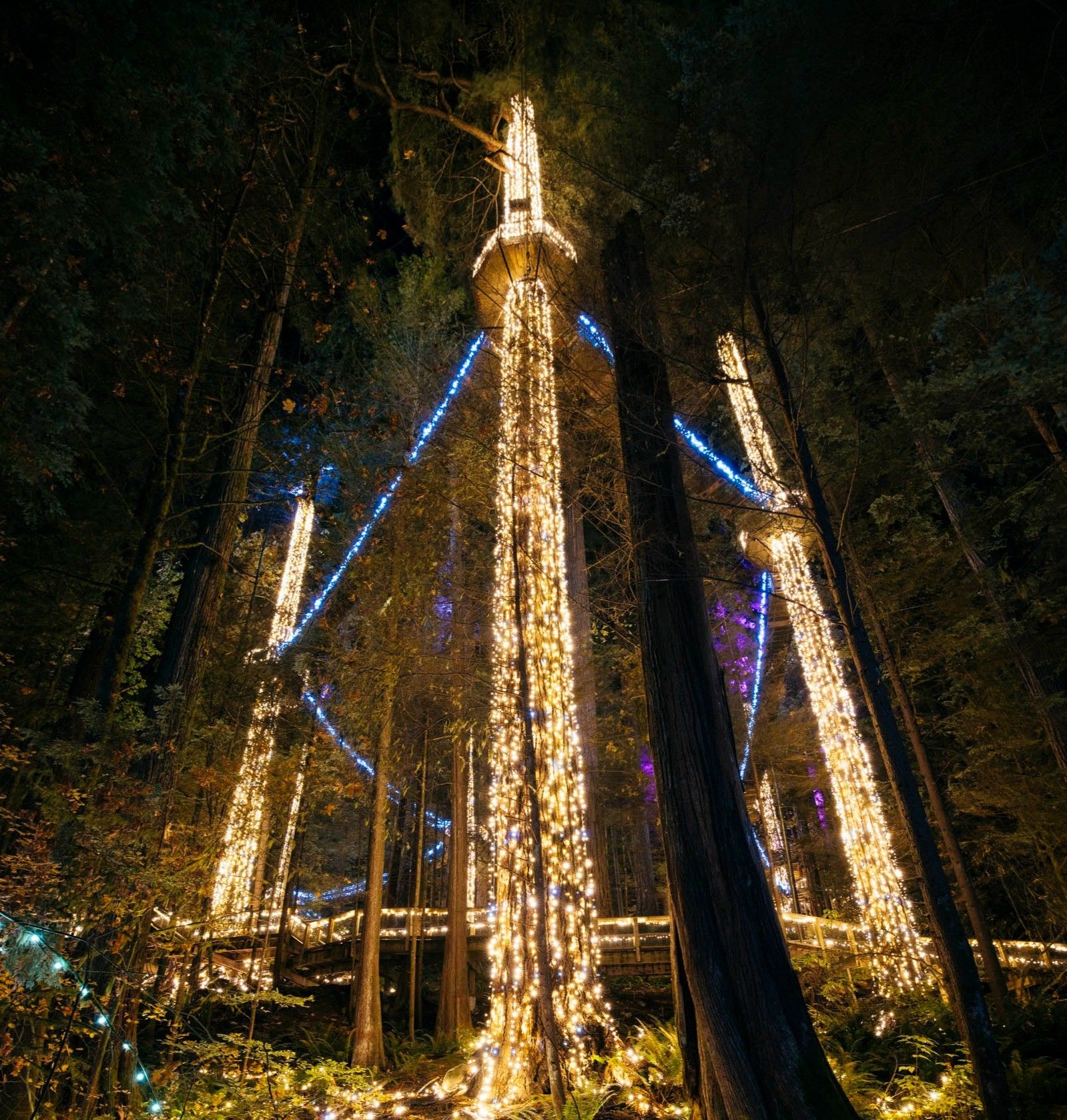 w-1599h-1678-741472-Canyon Lights - R5228273