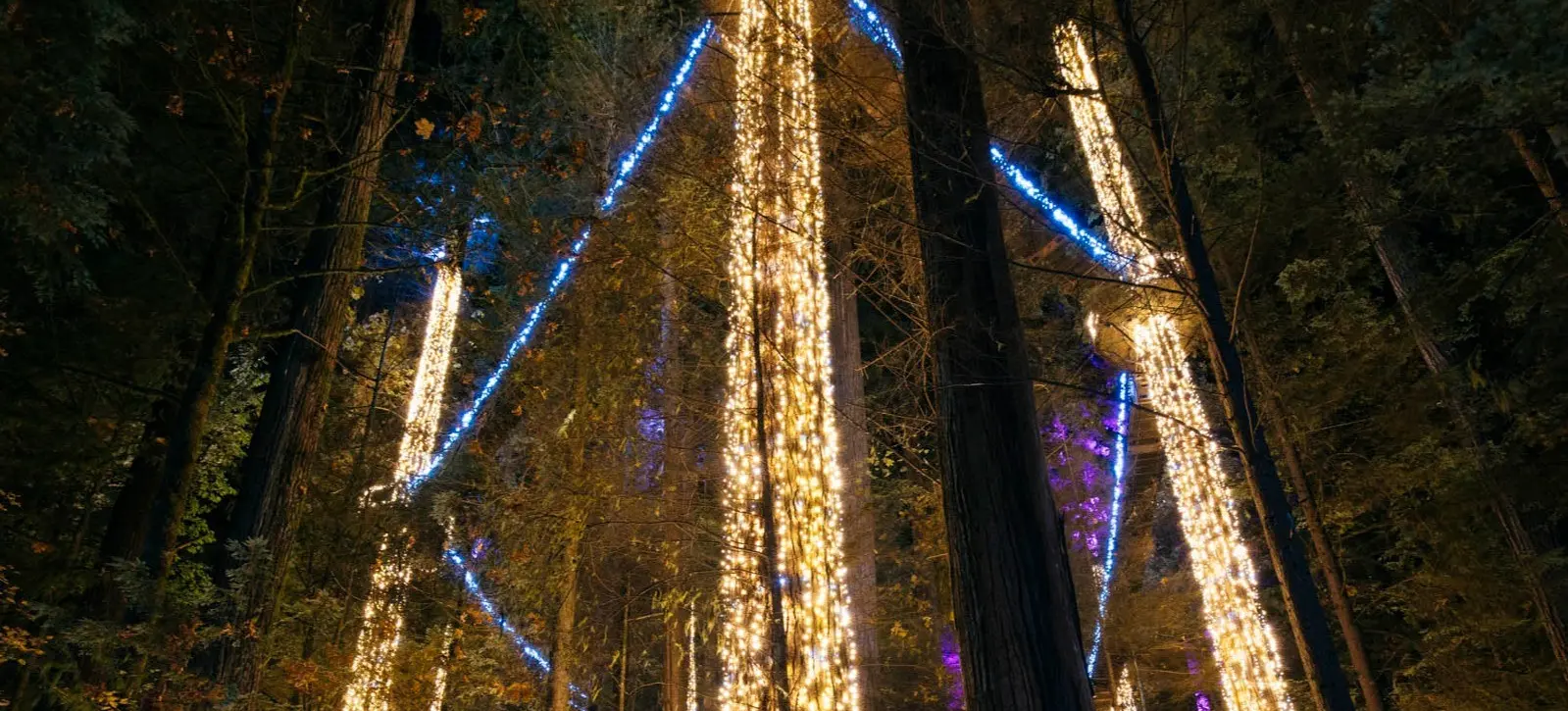 w-1599h-1678-741472-Canyon Lights - R5228273