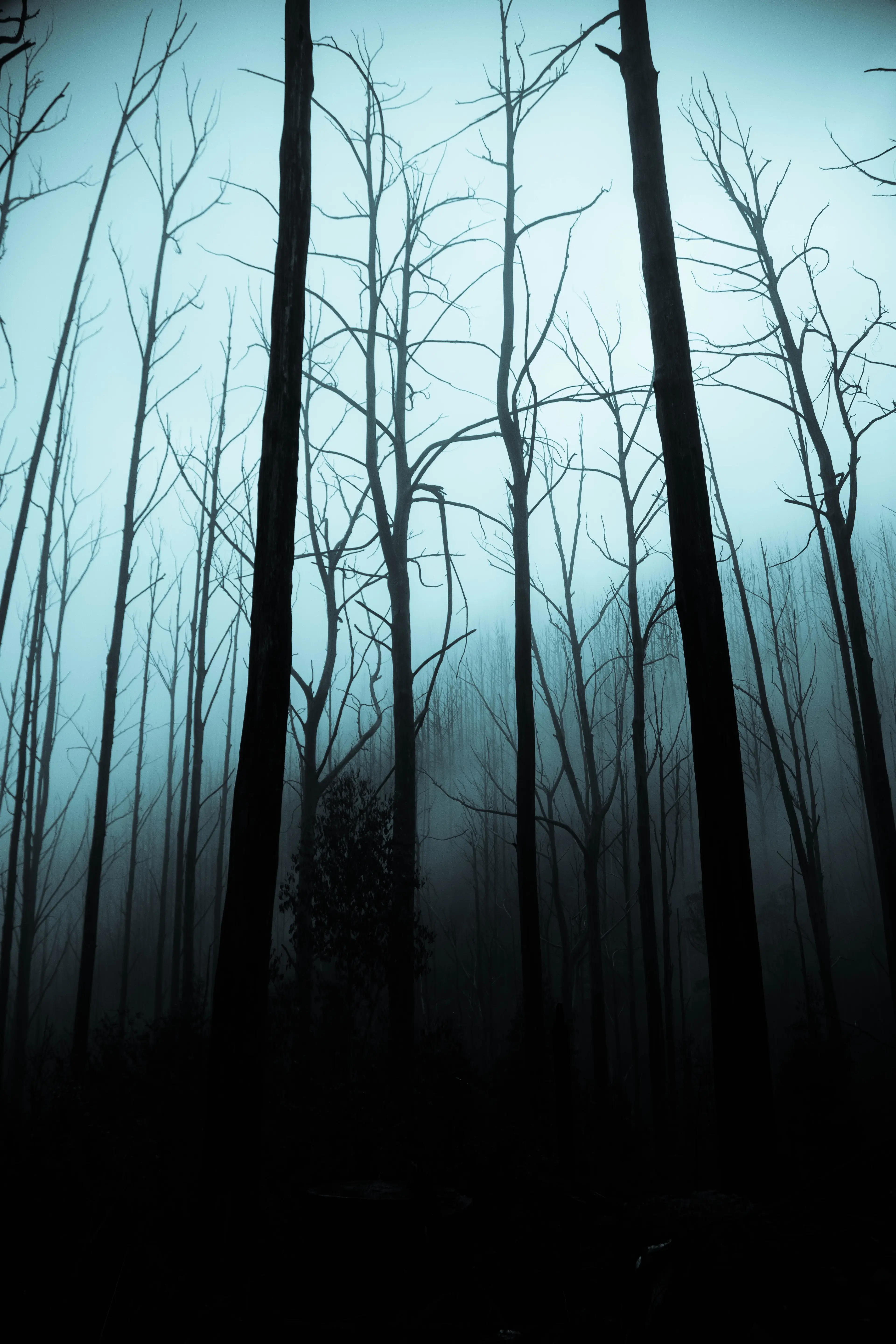 Haunted vancouver ghost stories