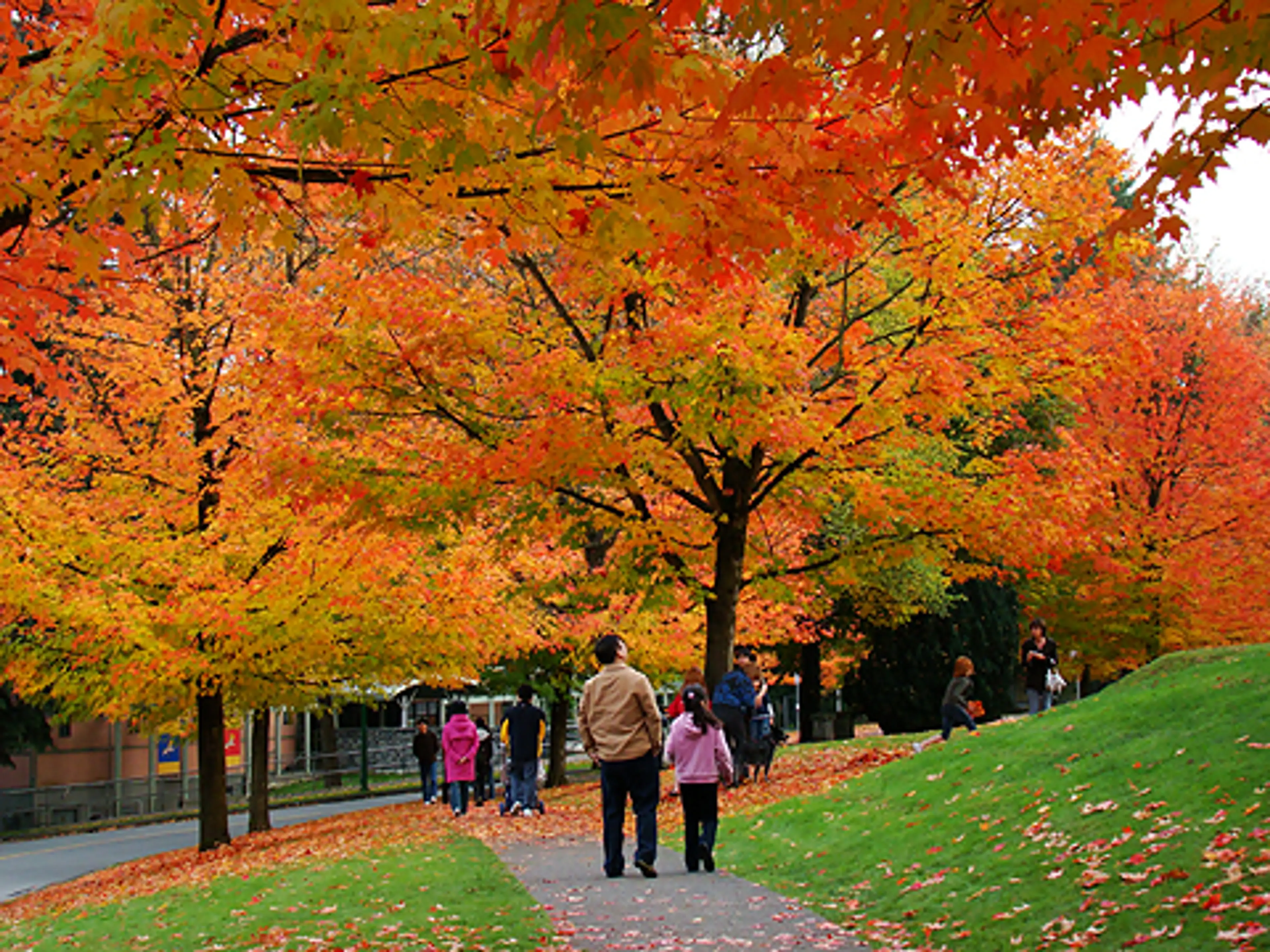 Under the Boardwalk – Deer Lake Park