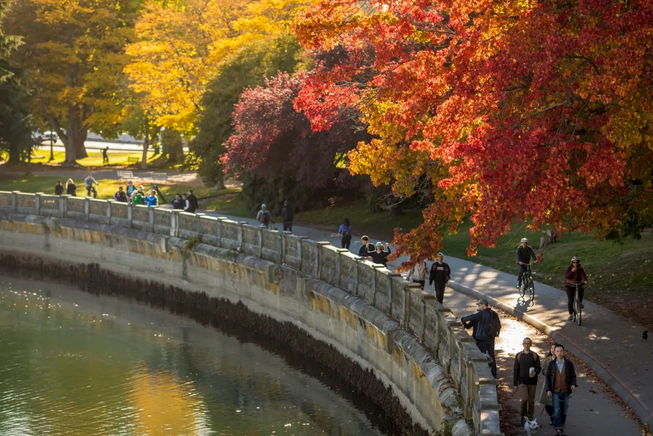 Vancouver Fall Inspiration: The Ultimate Guide