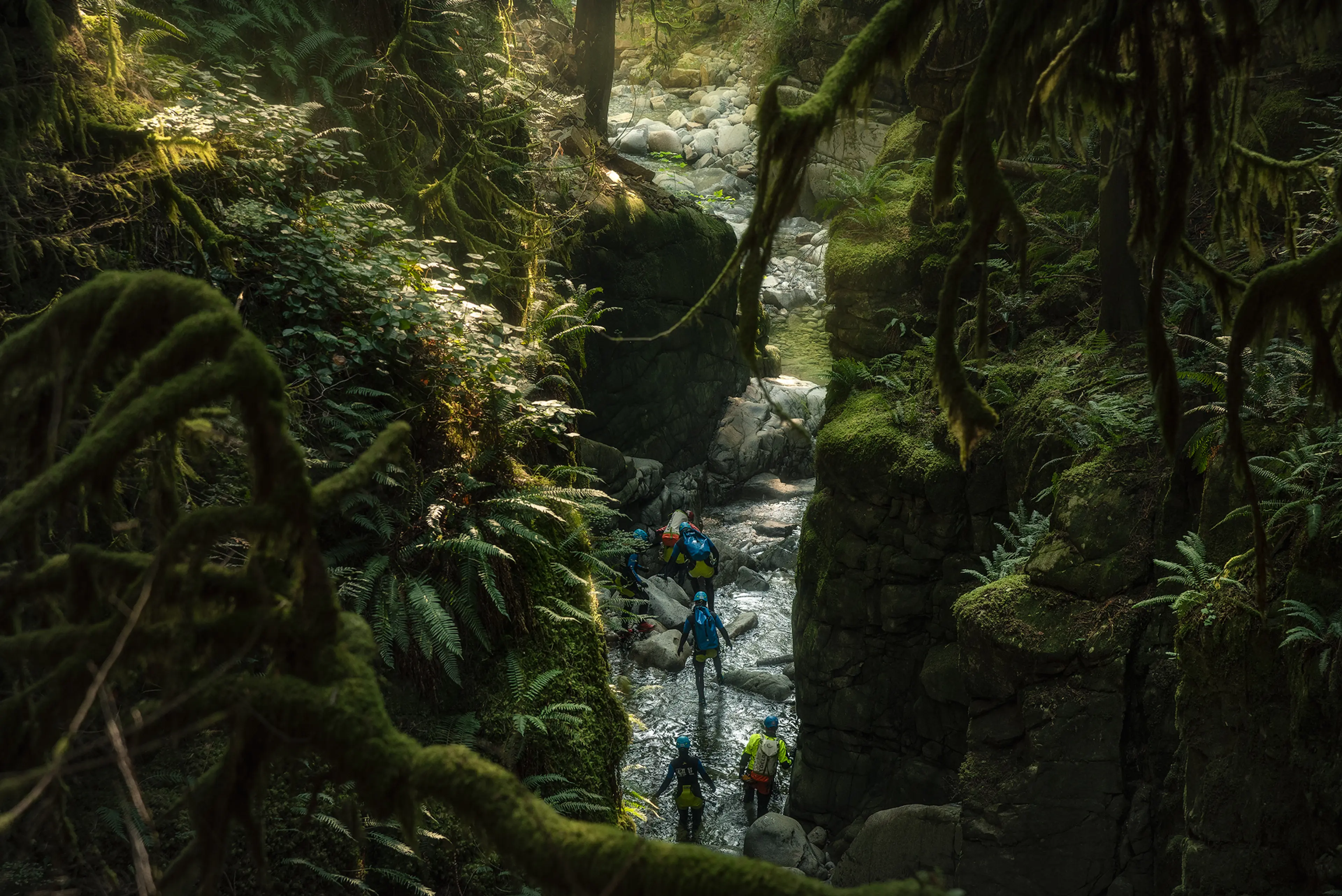 Vancouver’s Rainforest Canyons