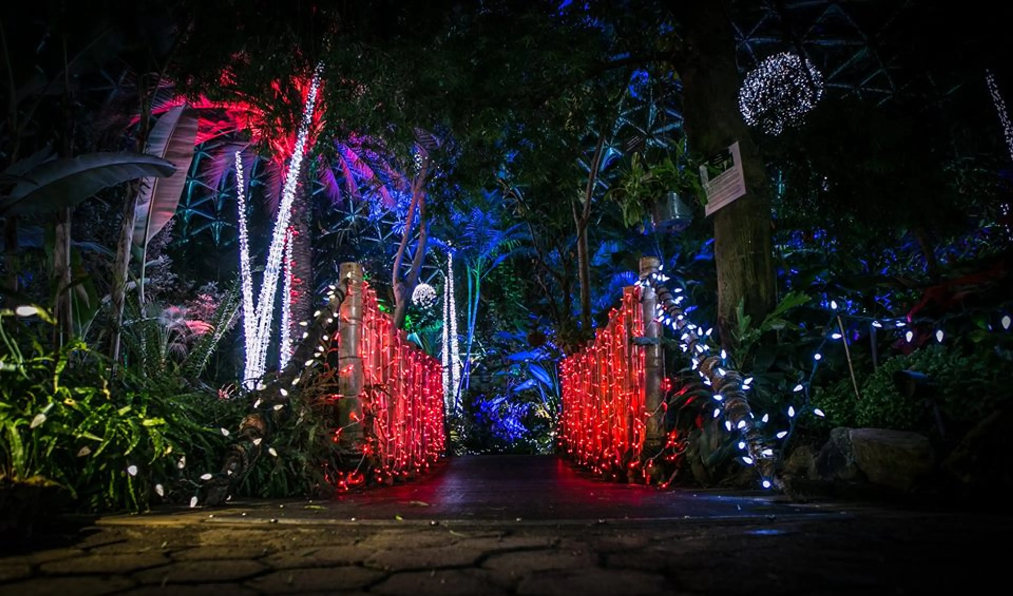 Escape into a tropical holiday experience at the Bloedel Conservatory