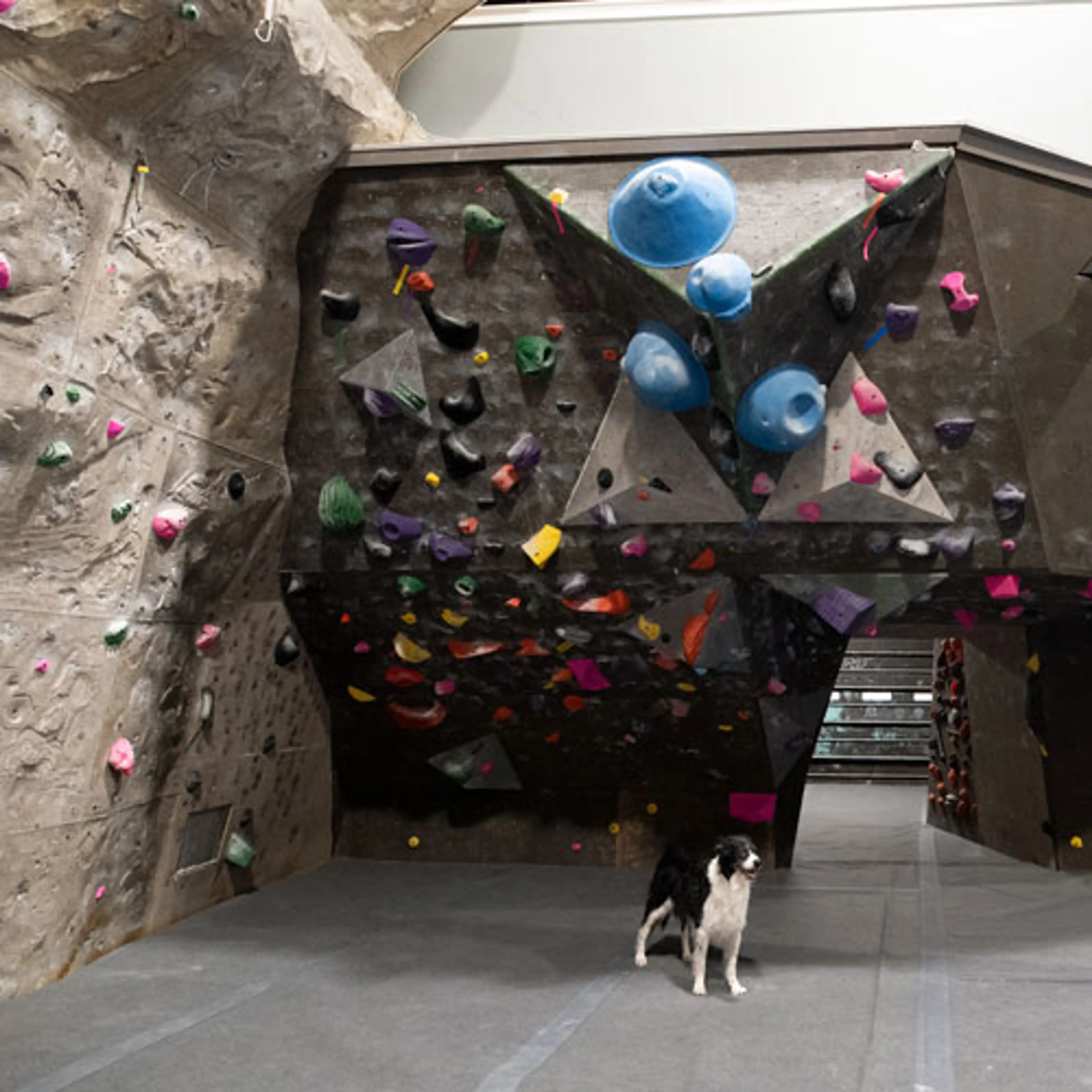 Interior of Climb Base 5 rock climbing gym in North Vancouver