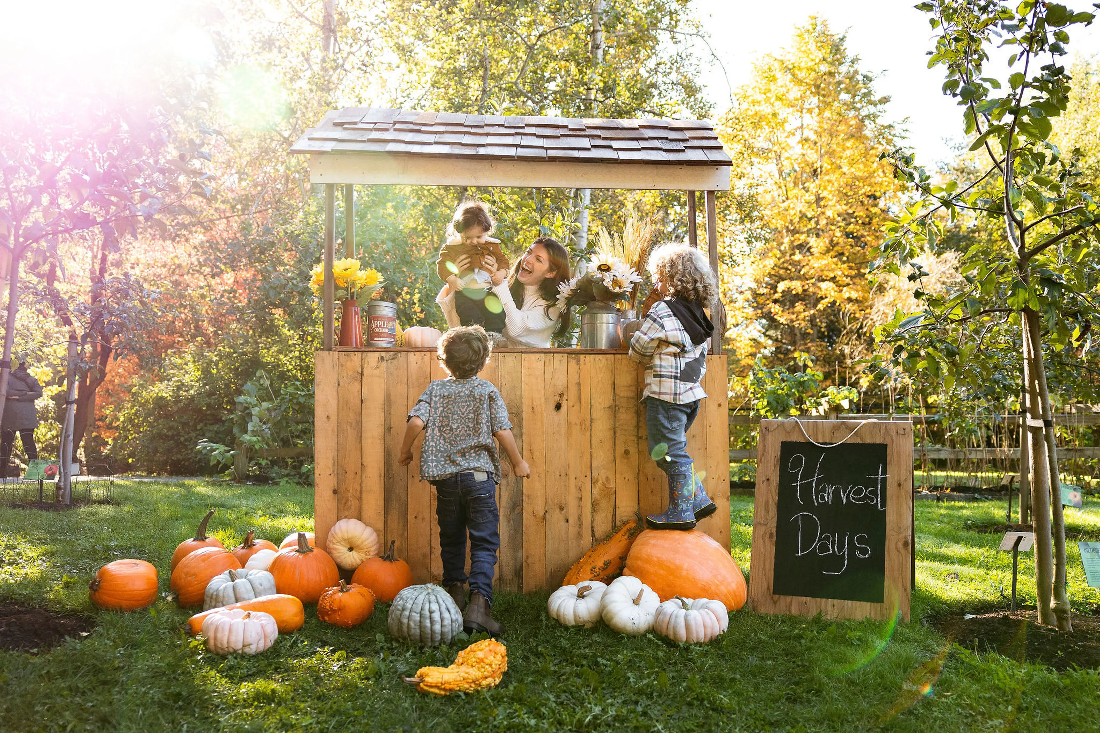 Children at a wooden stand with pumpkins and a chalkboard sign reading Harvest Days in a sunny autumn garden.