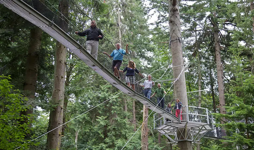 UBC