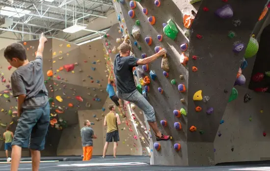 The Hive North Shore | Image: The Hive