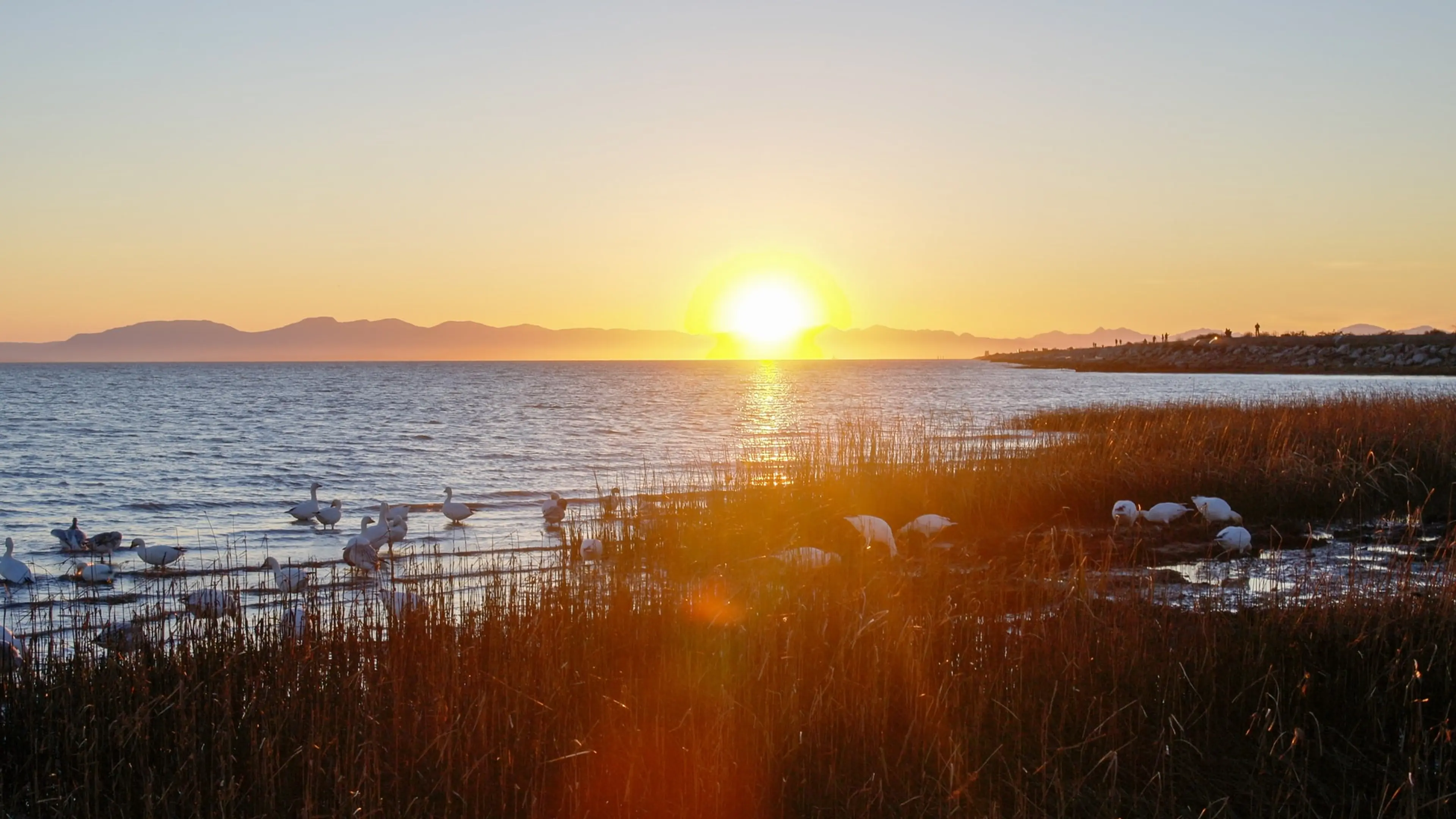 Sunset at Iona Beach Regional Park