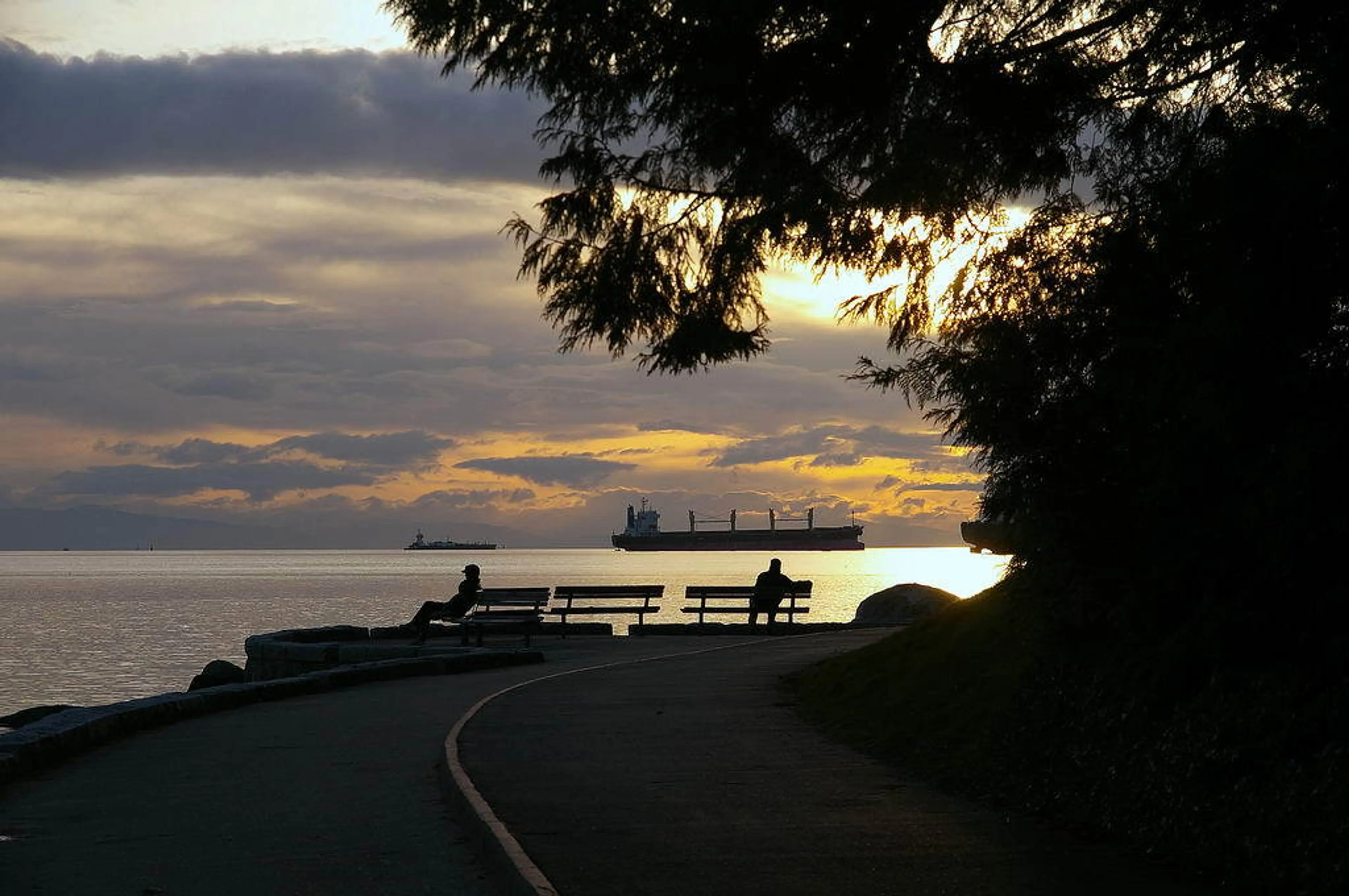 Stanley Park Sunset