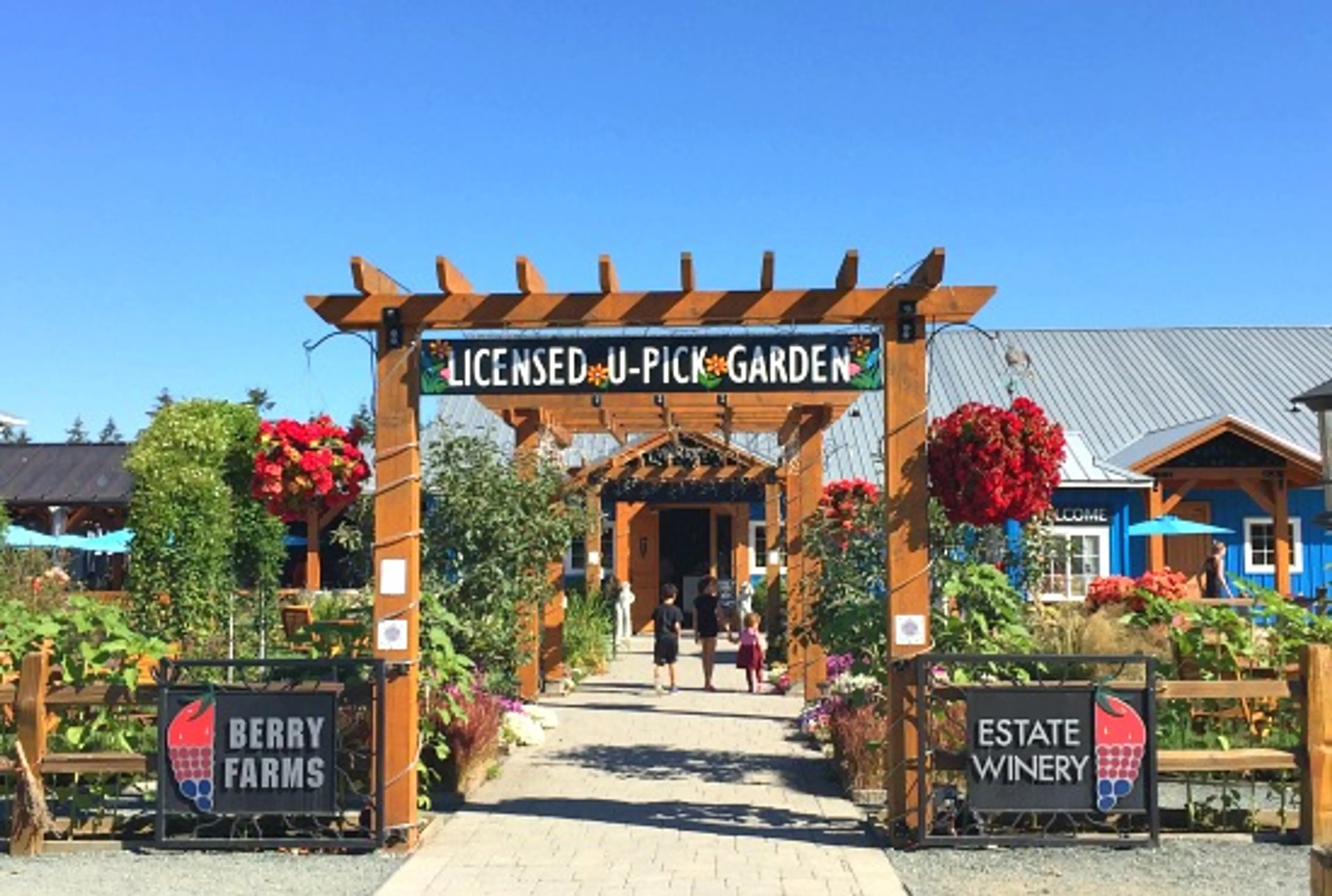 Kids In Vancouver: Get A Taste Of The Country At Krause Berry Farms