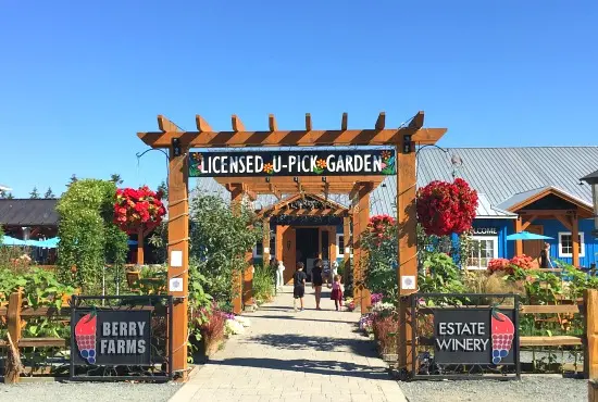 Kids In Vancouver: Get A Taste Of The Country At Krause Berry Farms