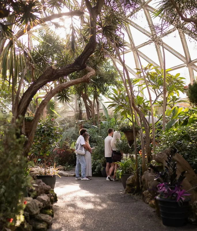 Bloedel Conservatory