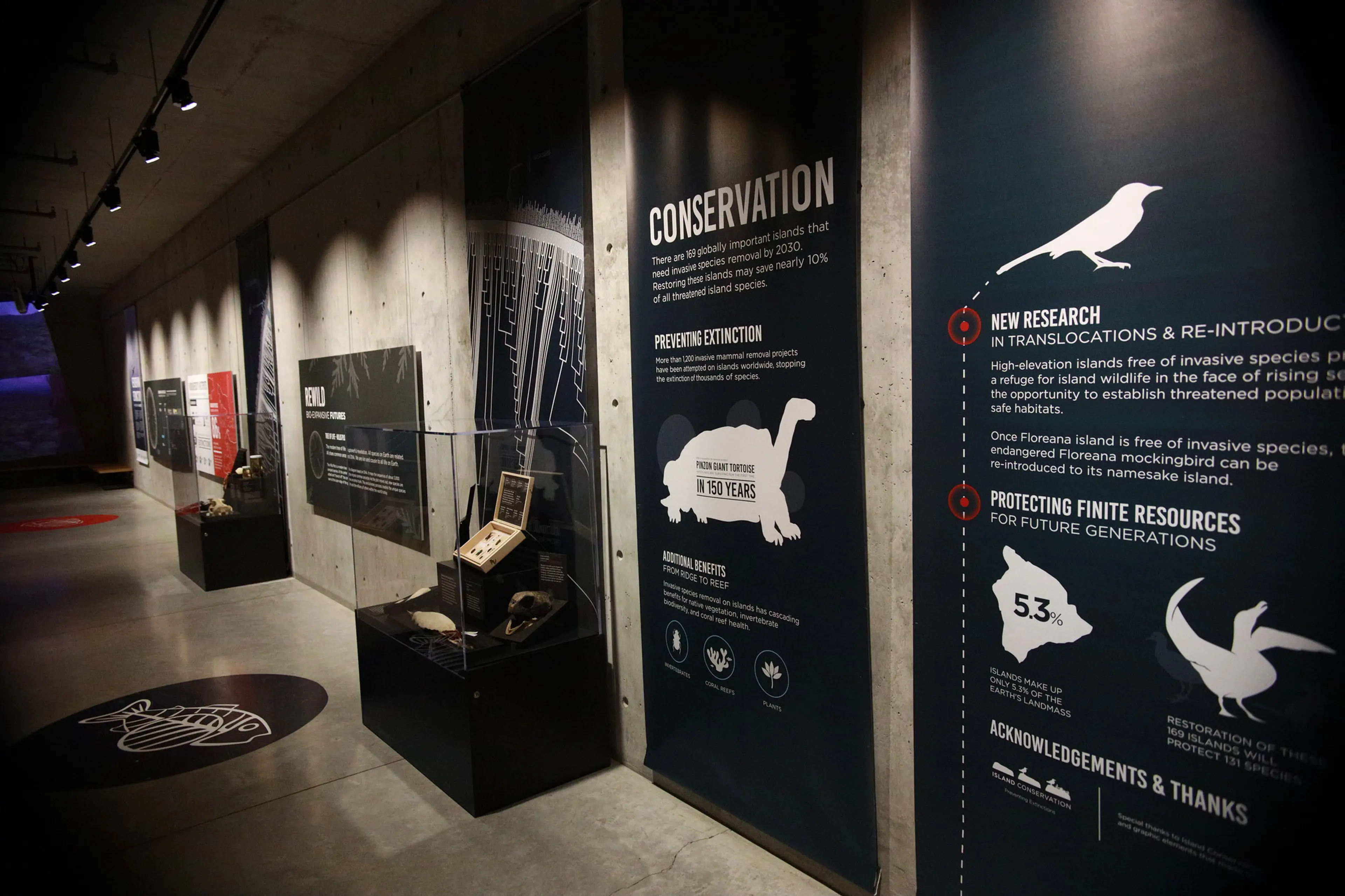 Vancouver’s Beaty Biodiversity Museum Showcases Island Conservation