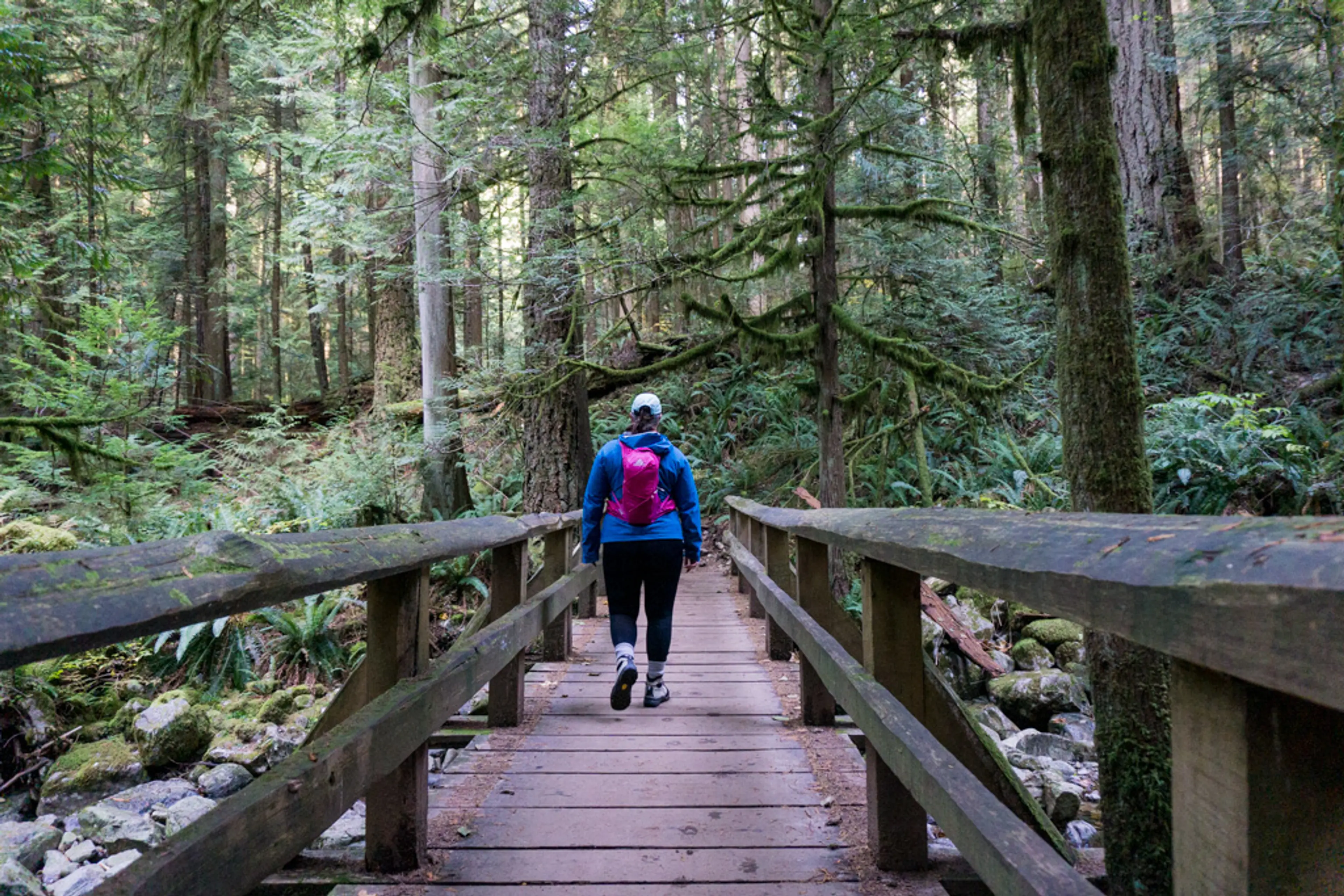 The bridge over Nelson Creek on the way to Whyte Lake in West Vancouver
