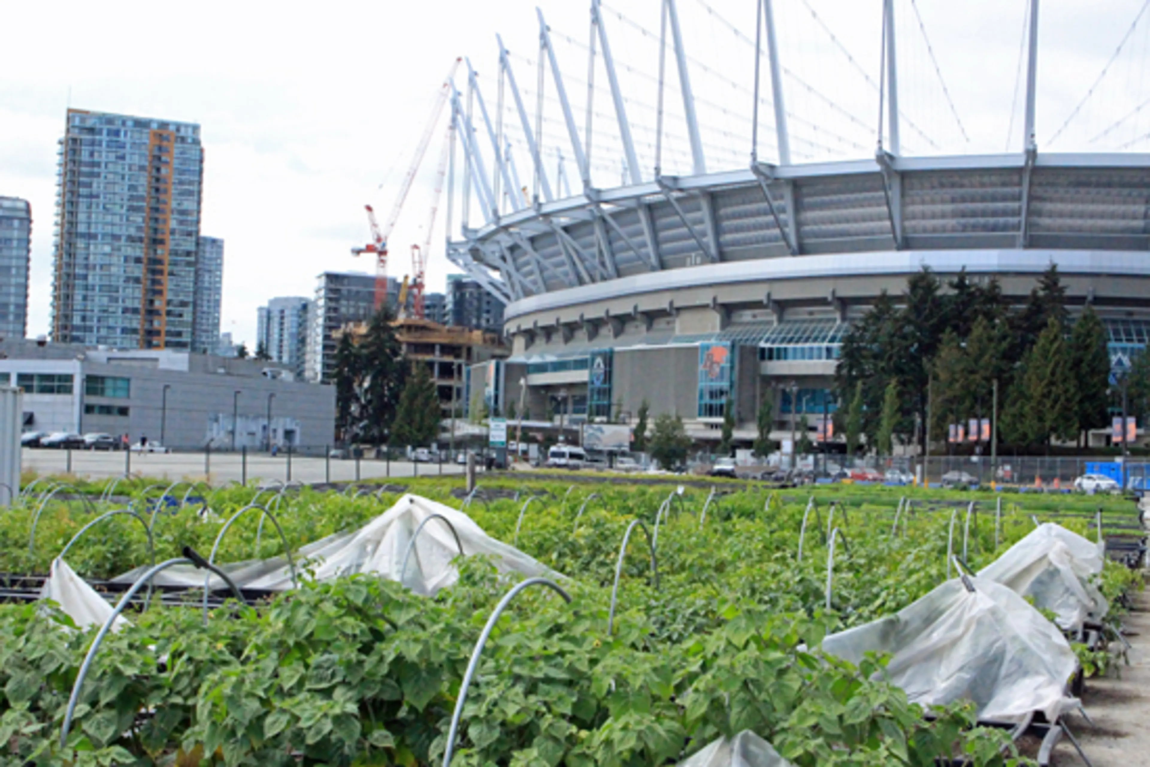 cycling-false-creek-discover-the-outdoors2