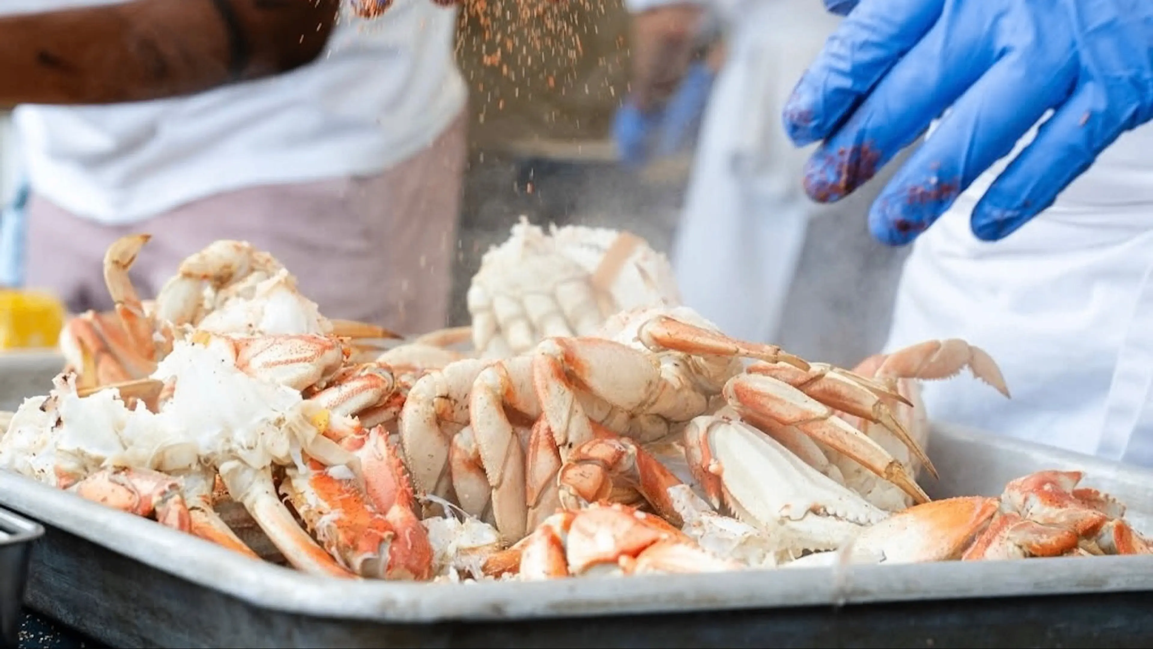 Blue-gloved hands sprinkling seasoning over cooked crabs in a metal tray.