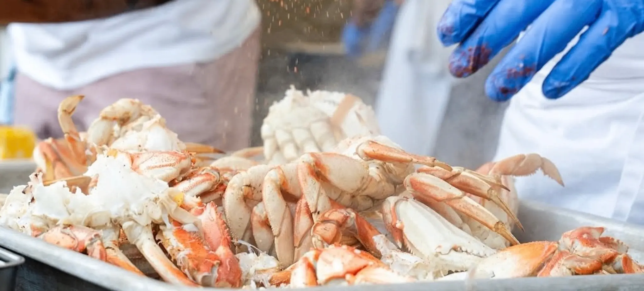 Blue-gloved hands sprinkling seasoning over cooked crabs in a metal tray.